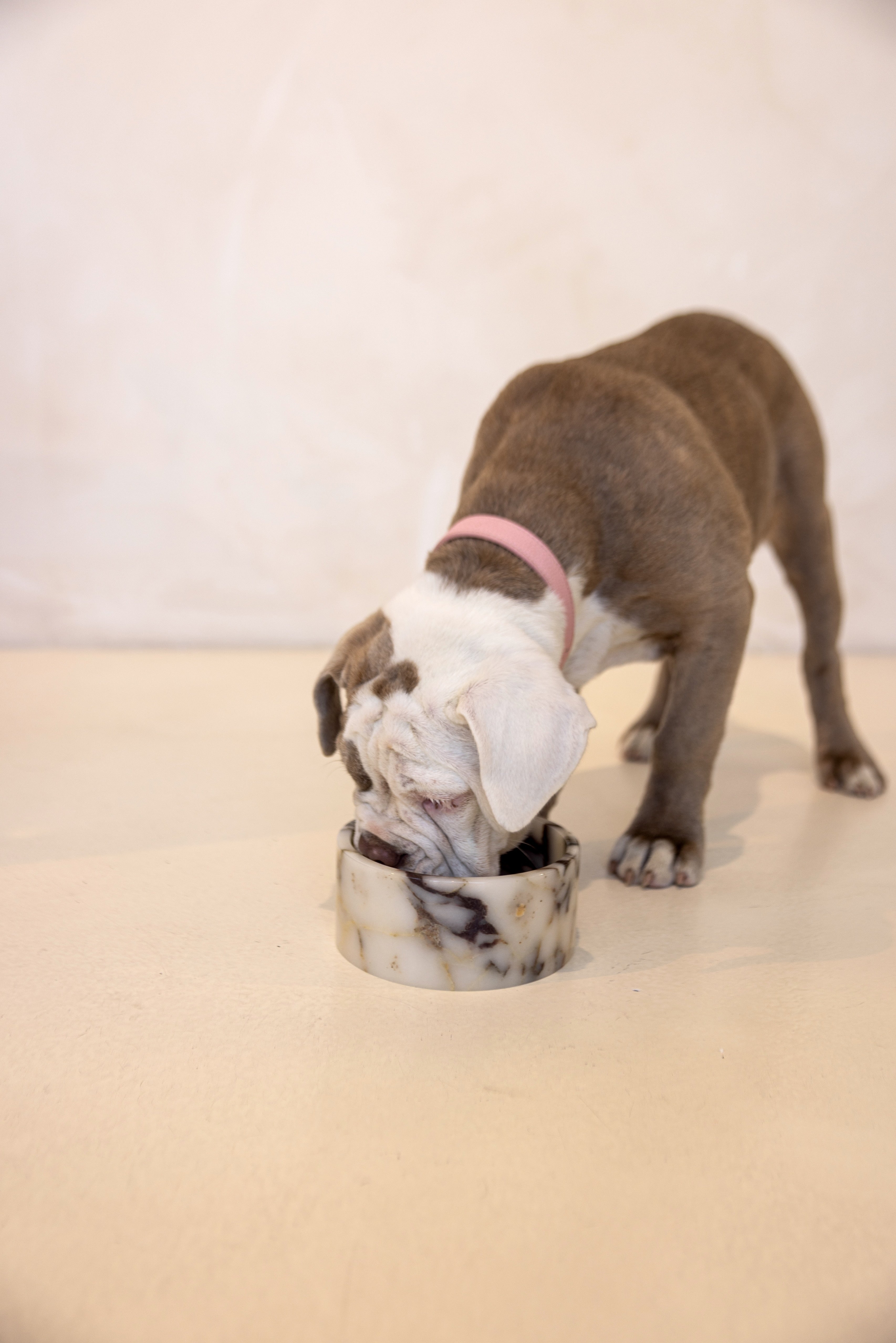 Spill-Proof & Anti-Scratch