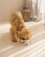 Dog interacting with a marble dog bowl and tray set