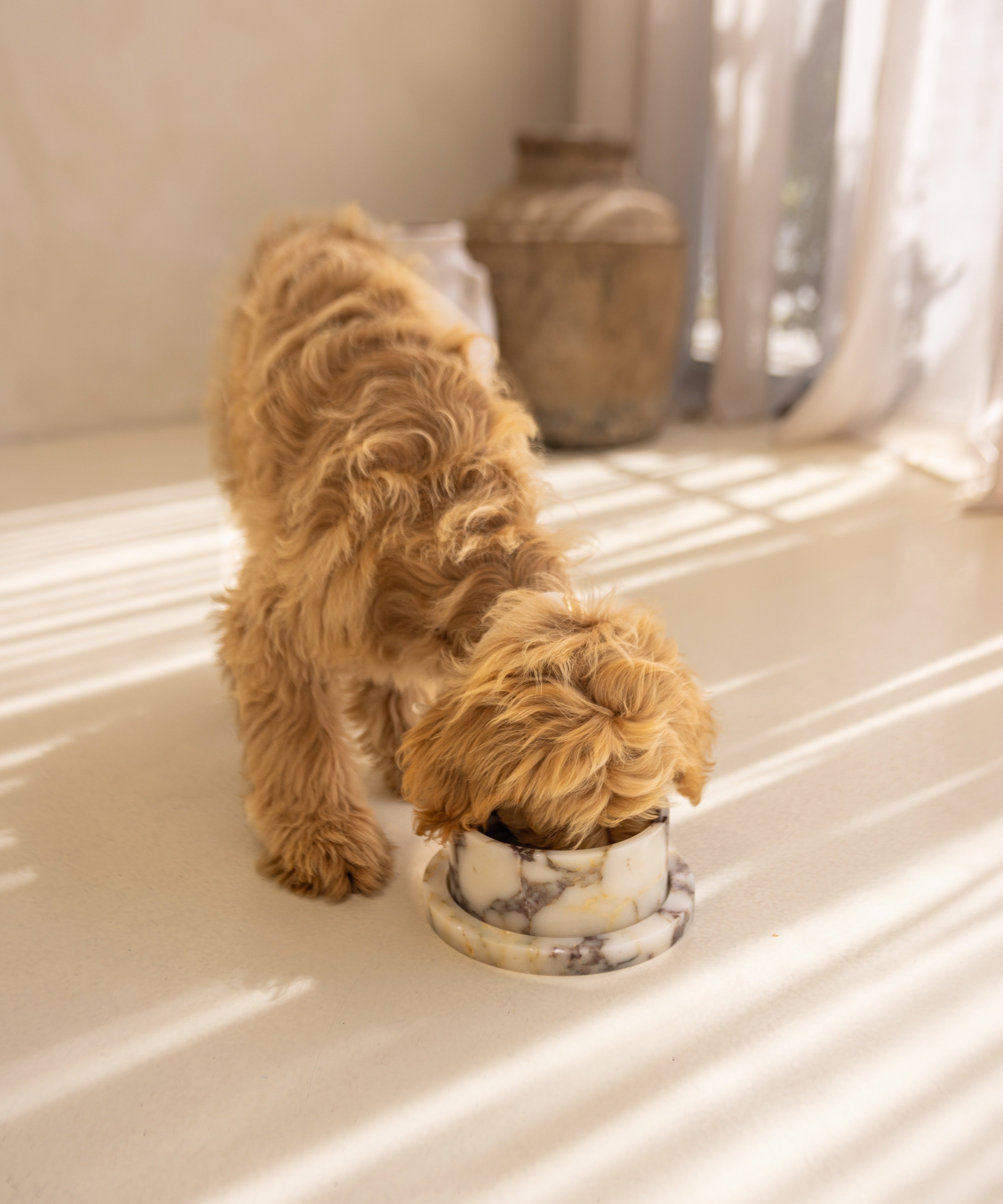 Dog interacting with a marble dog bowl and tray set
