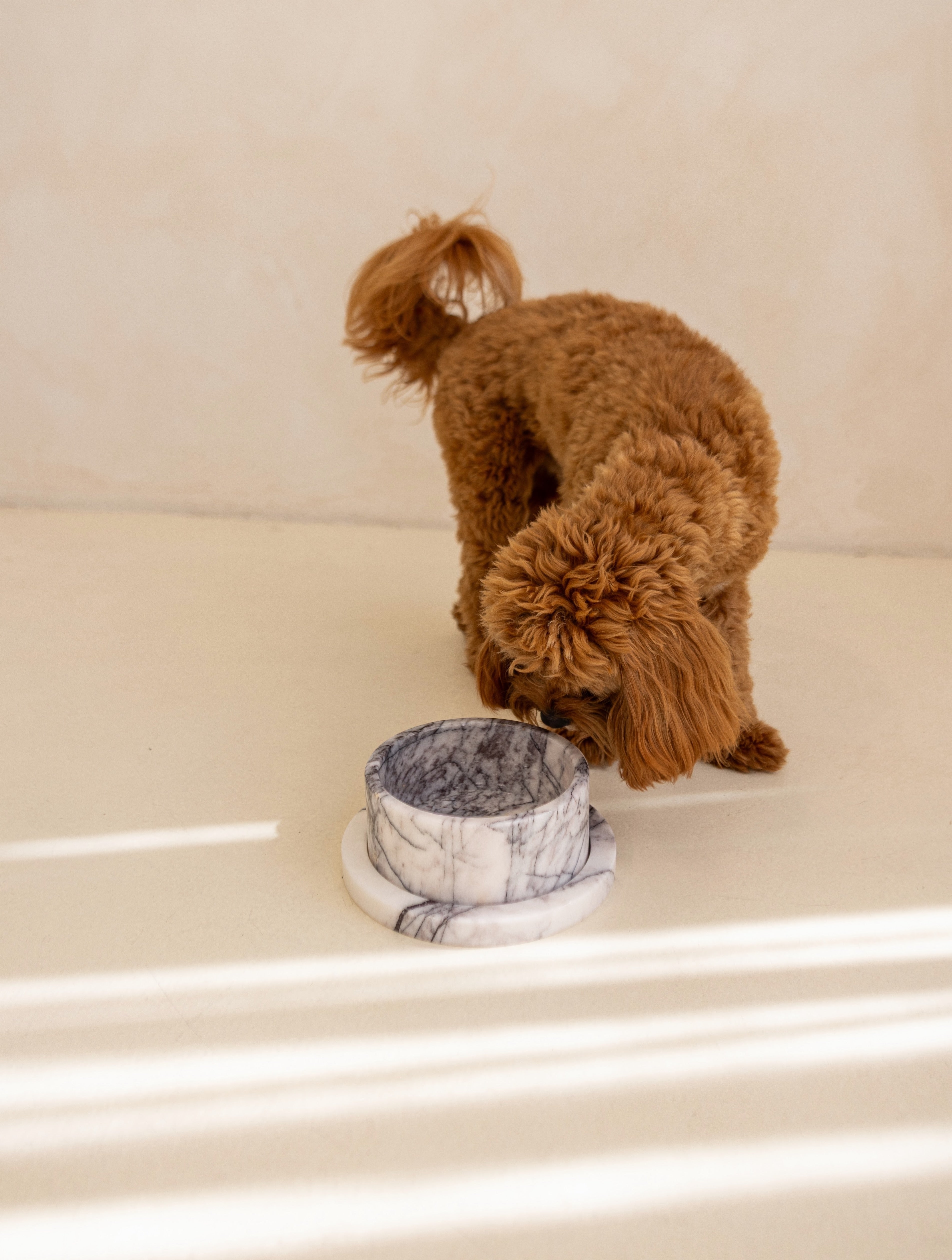 Elegant & Timeless Style