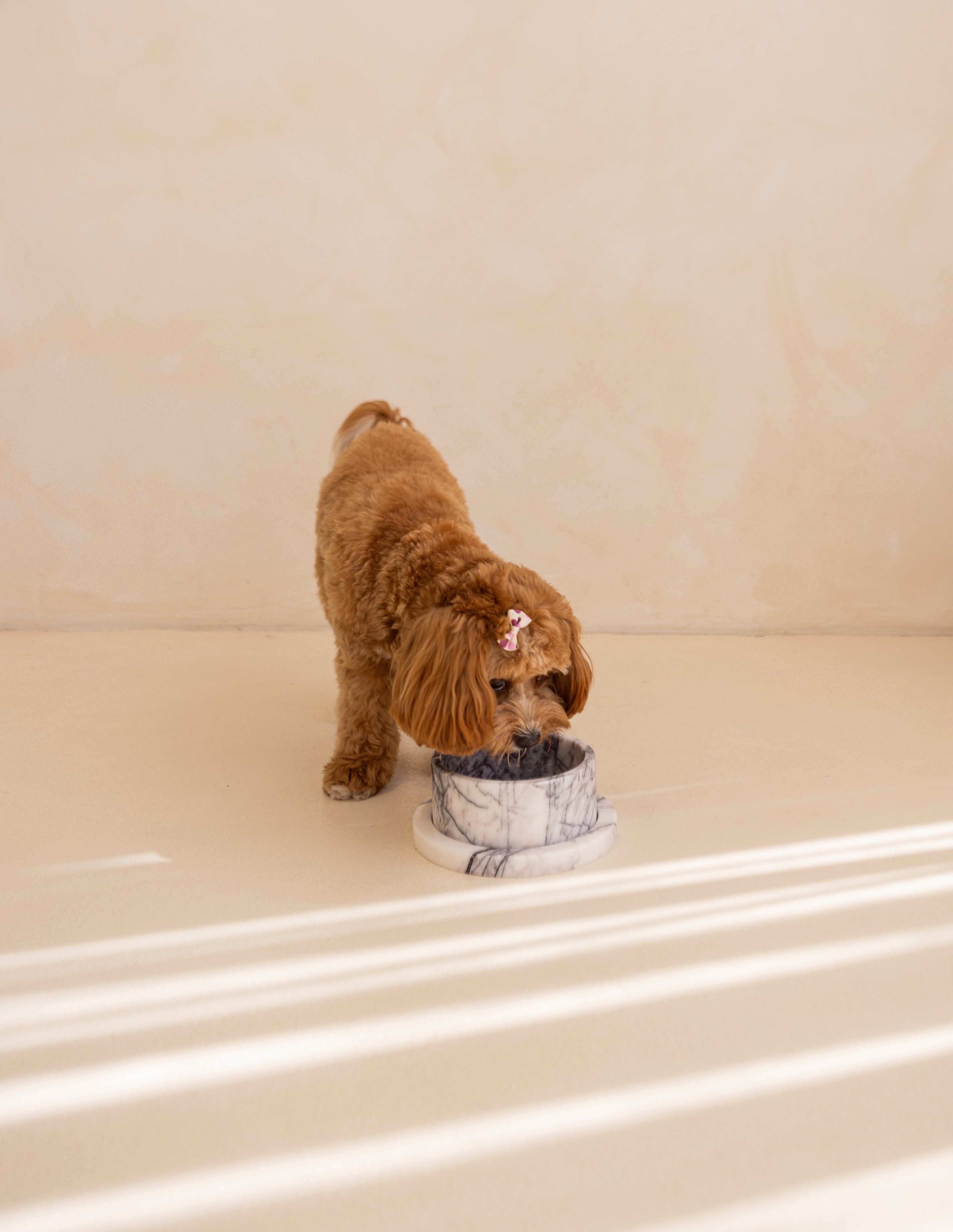 Spill-Proof & Anti-Scratch