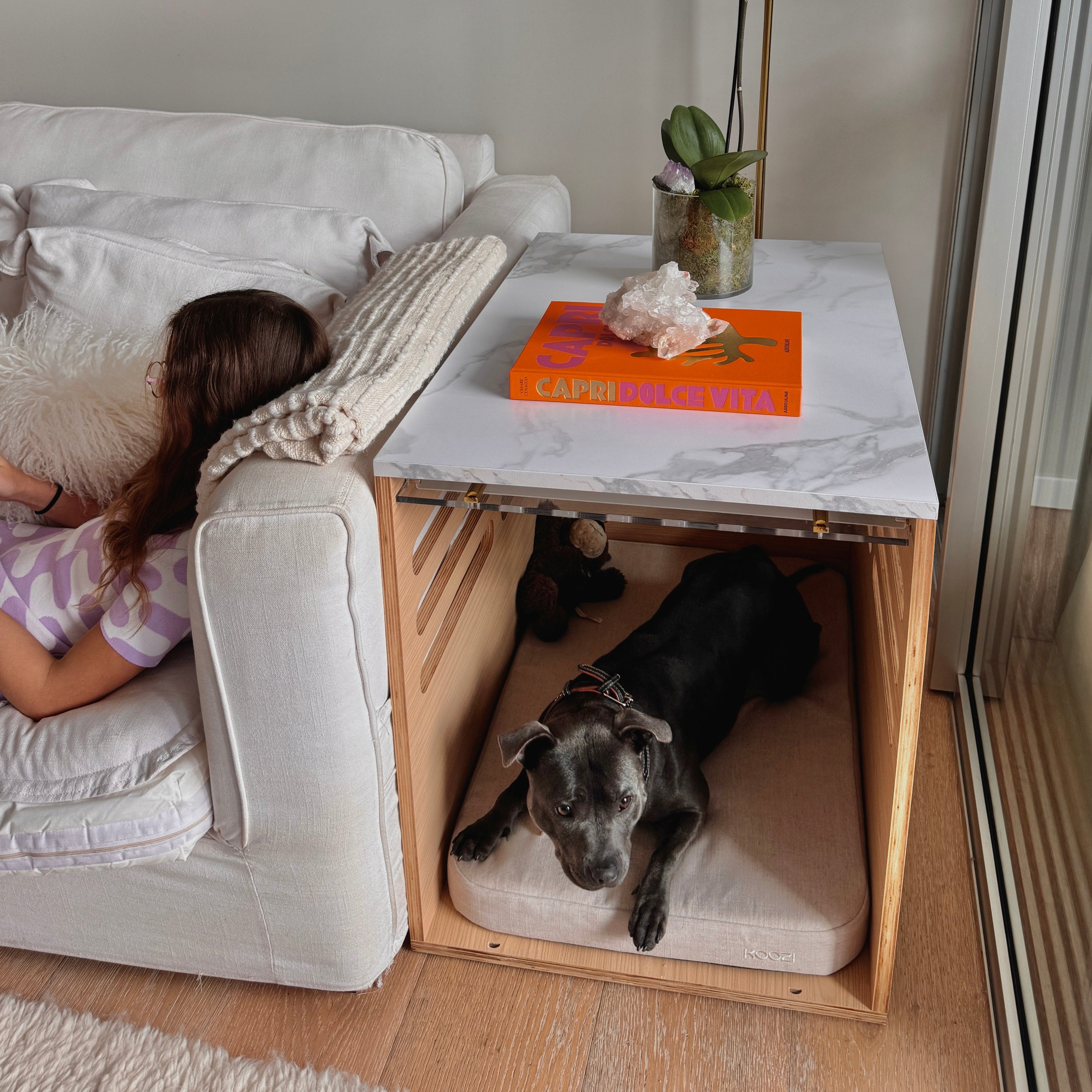 Koozi Dog Crate Review