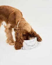 Marble Dog Bowl & Tray Set - New York Marble