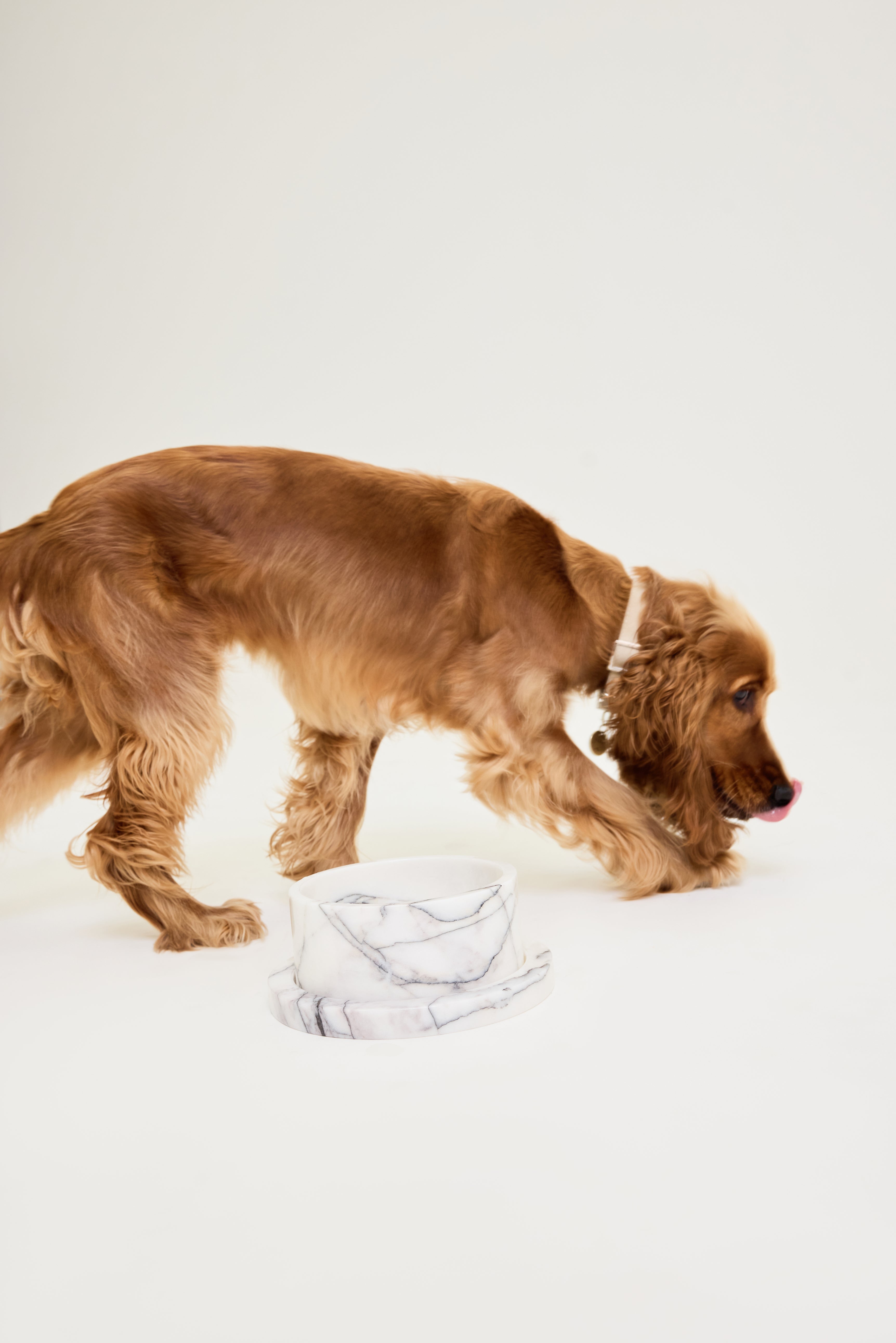 Marble Dog Bowl & Tray Set - New York Marble