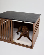 Dog lying inside a modern wooden crate with a black marble top on a white background