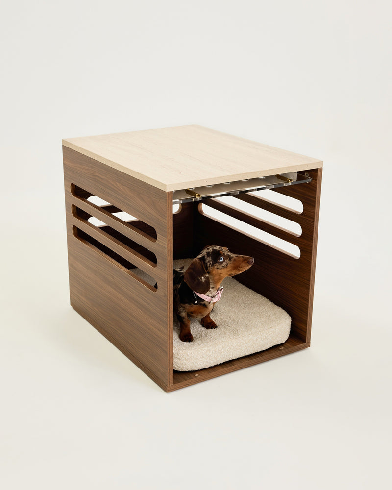 Wooden pet crate with a small dog inside on a white background
