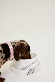 Marble Dog Bowl & Tray Set - New York Marble
