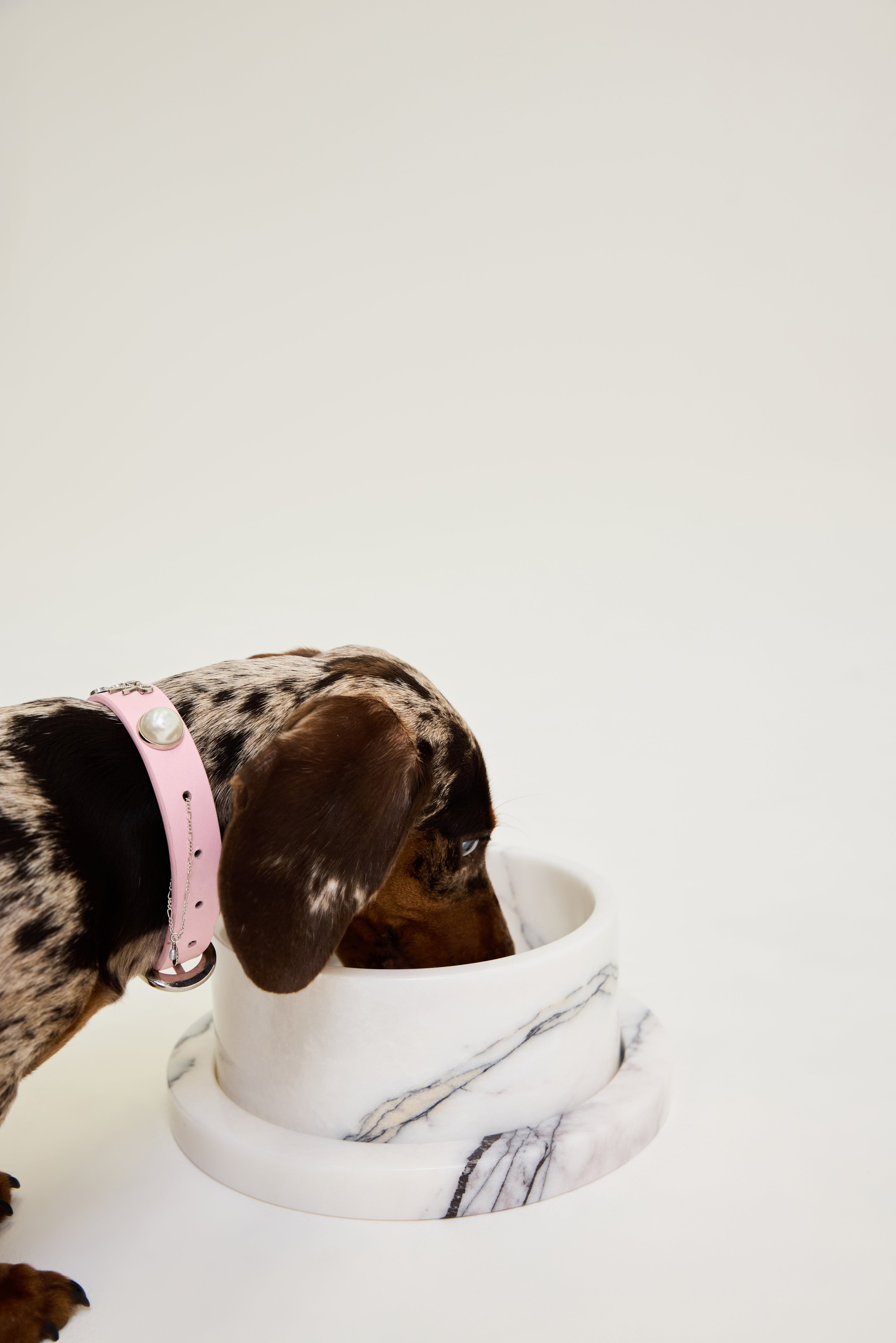 Marble Dog Bowl & Tray Set - New York Marble