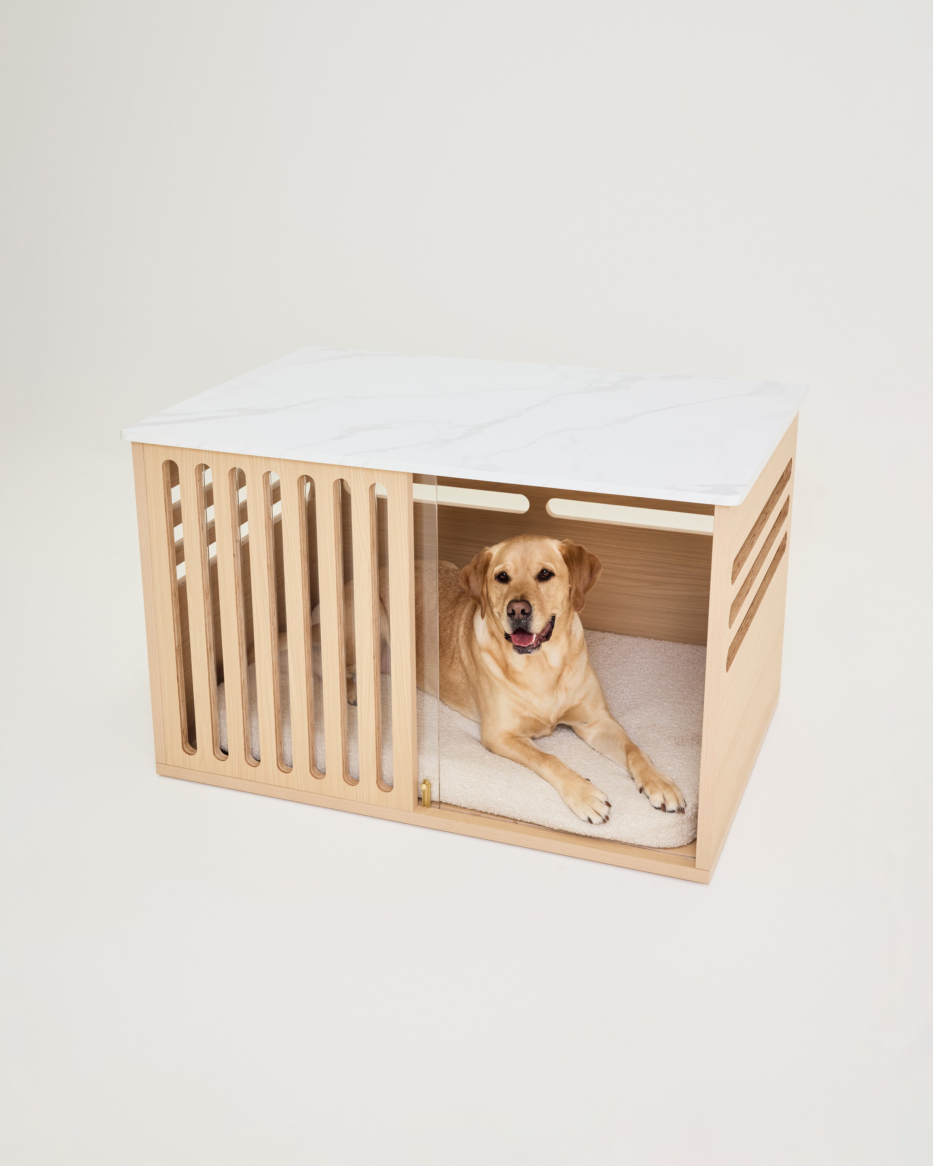 Dog lying inside a modern wooden pet crate on a light background