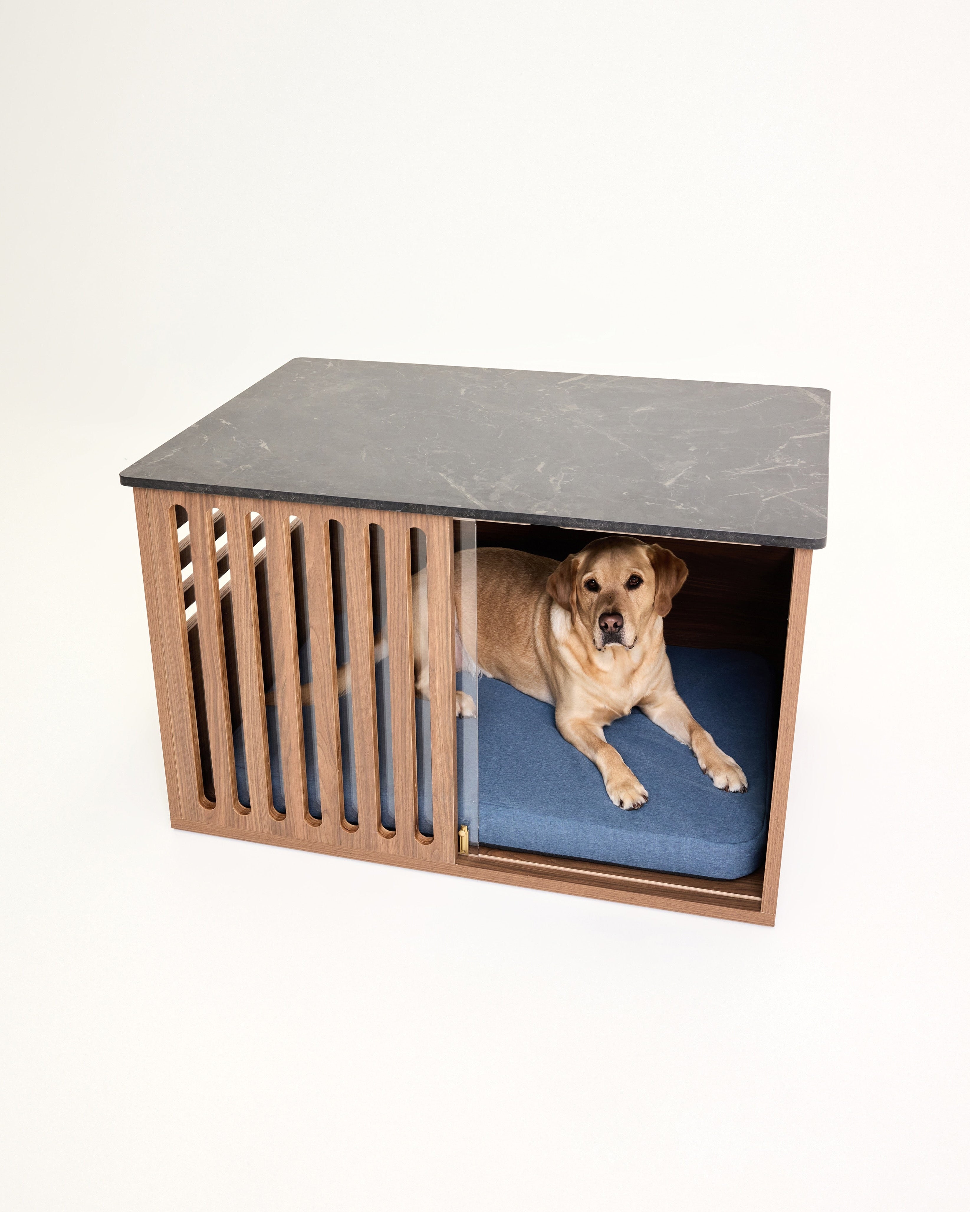 Dog lying inside a modern dog crate furniture with wooden frame and marble top on a white background