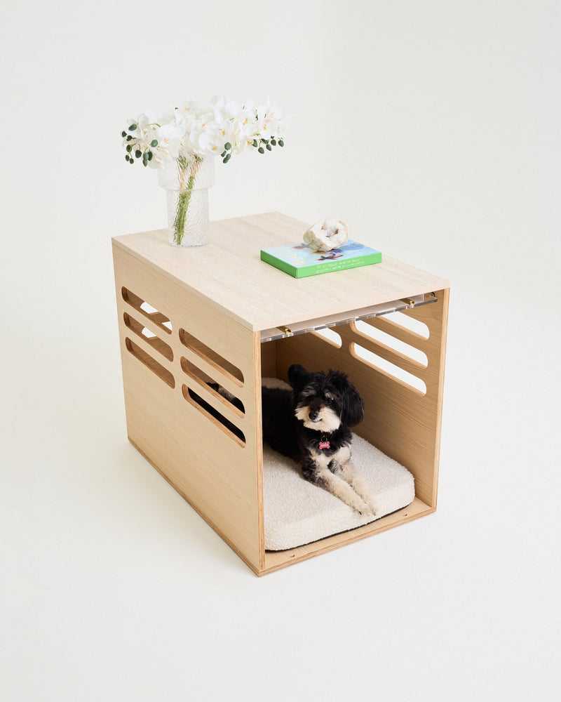 Dog lying in a wooden crate that doubles as a small table with a white background