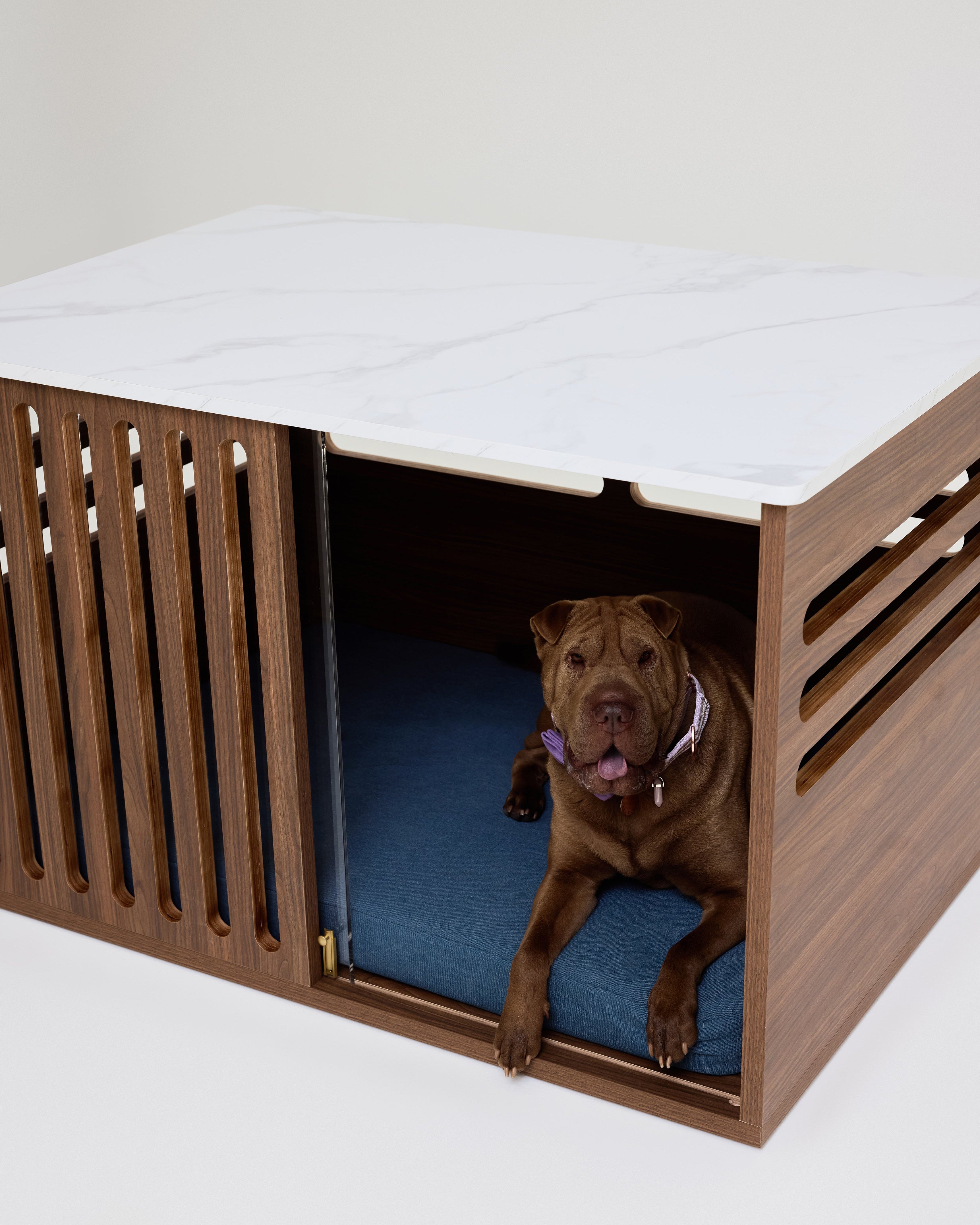 Dog lying inside a wooden pet crate with a white top on a light gray background
