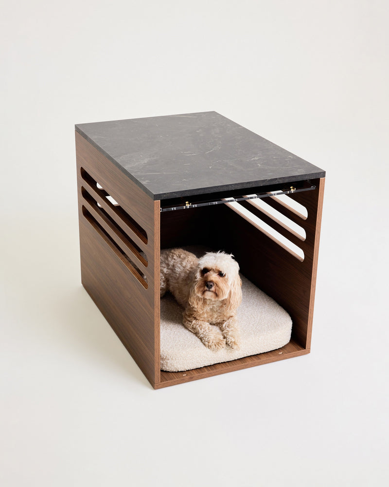 Dog lying on a cushion inside a wooden crate with a black top on a white background