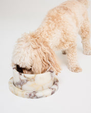 Dog peeking out from a cozy, round pet bed with fur trim on a white background