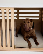 Dog lying on a cushion inside a wooden pet crate with a white background