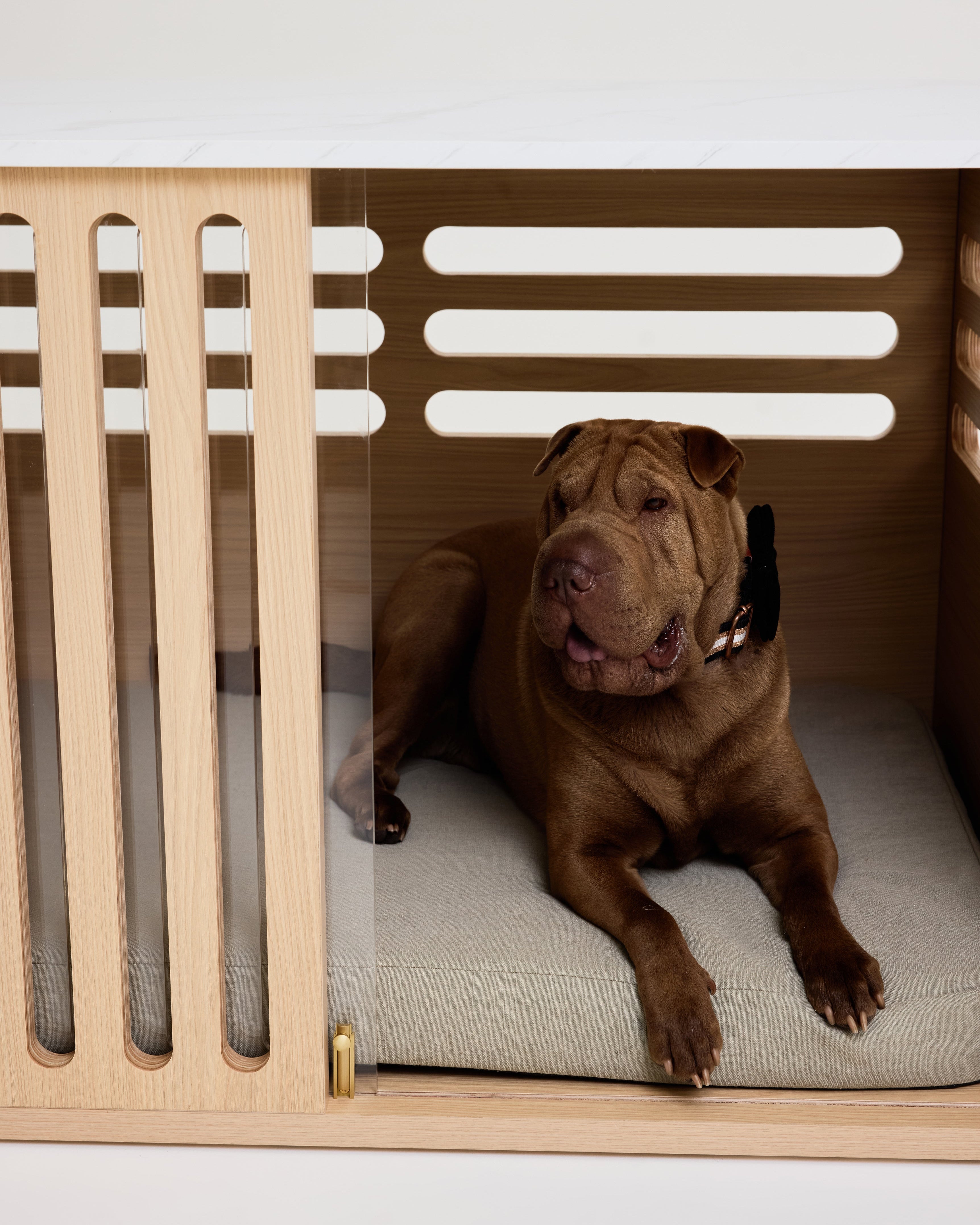 Dog lying on a cushion inside a wooden pet crate with a white background
