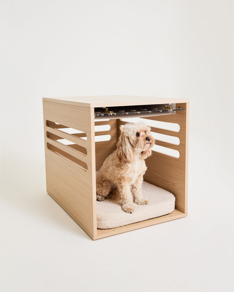 Dog sitting inside a wooden crate with a white cushion on a light background