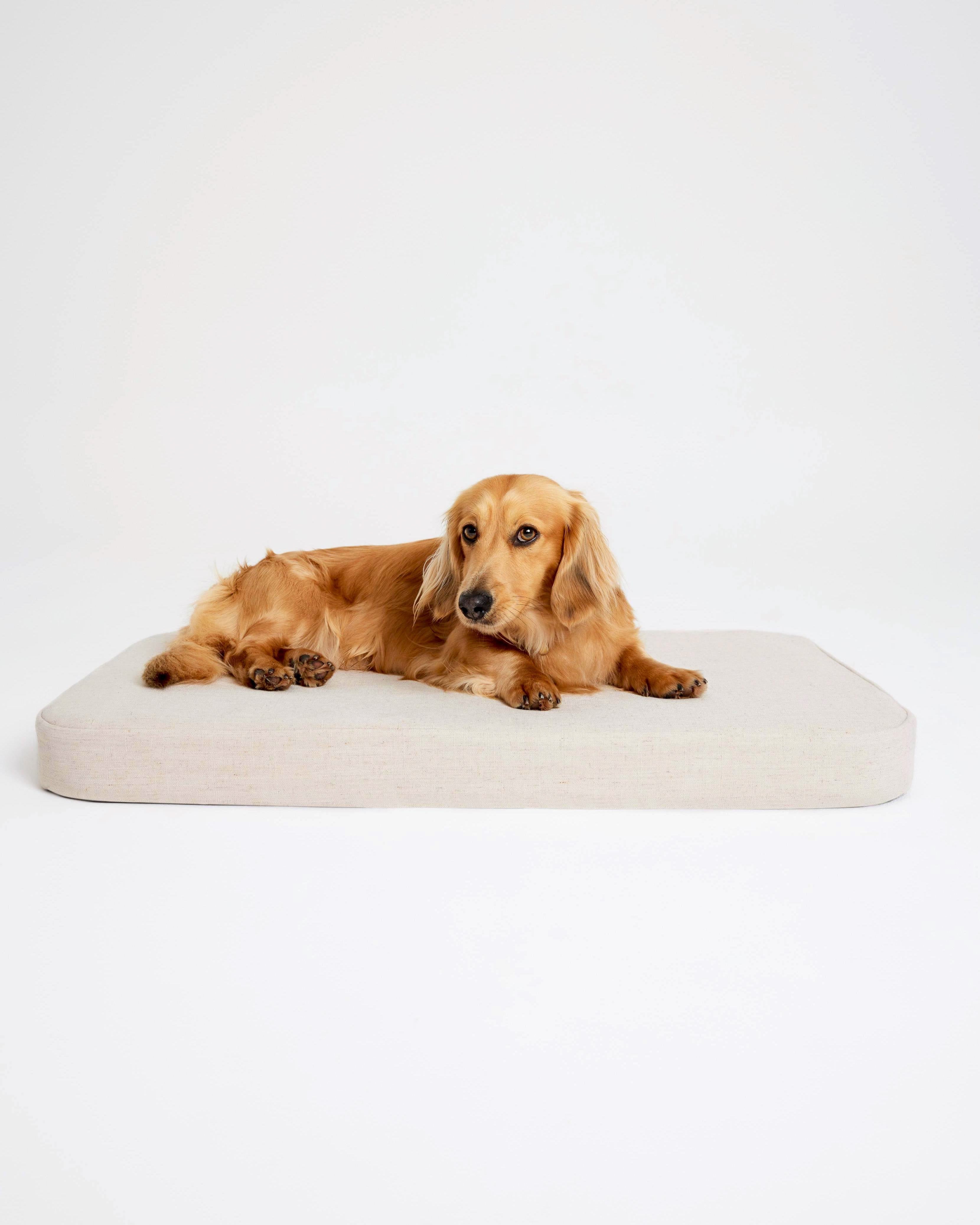 Curated visual reference: Fresh Look at Flat Bed In Oatmeal Linen Luxury Linen Boucle Dog Beds