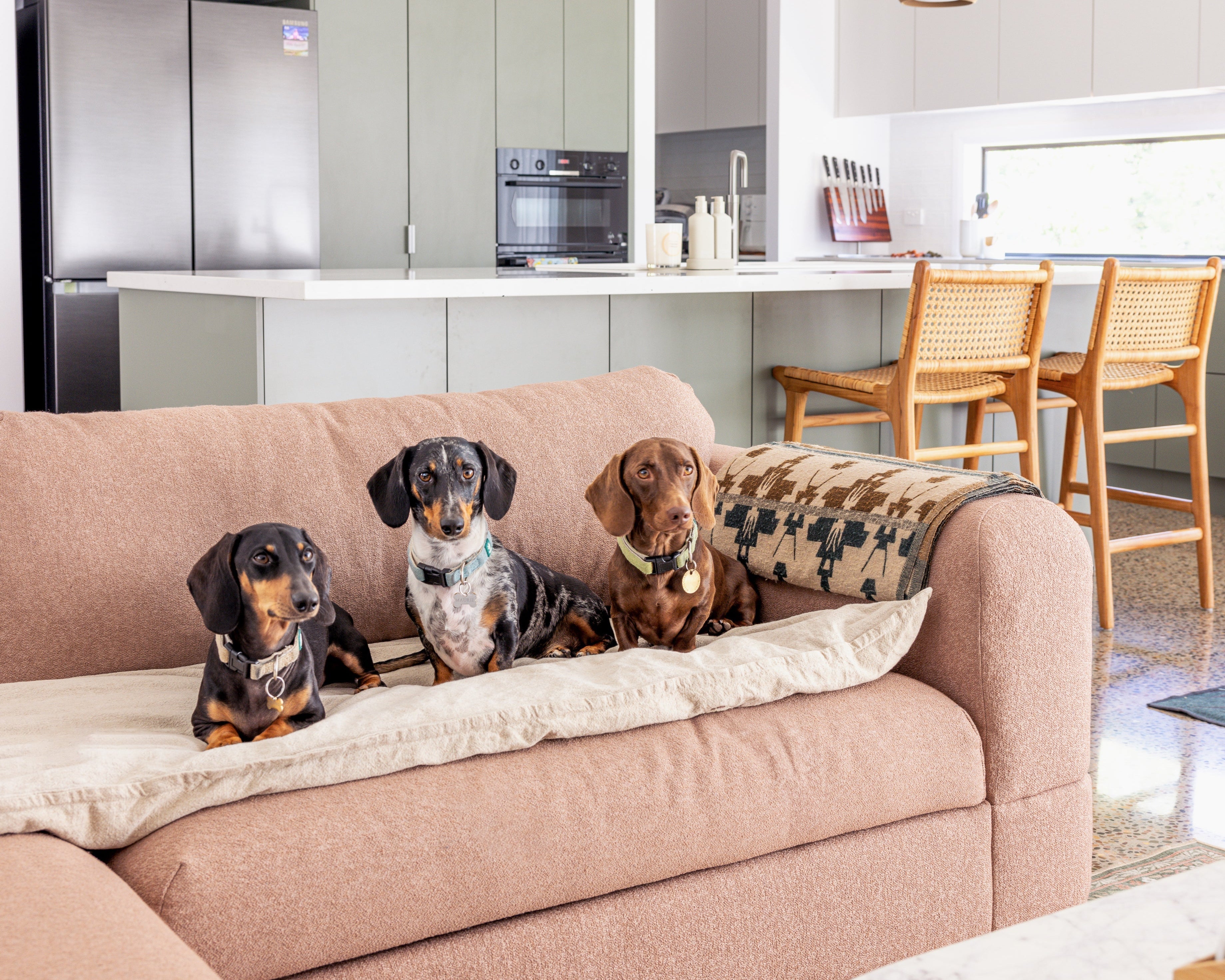 A Shared Sanctuary: Creating a Stylish Home with Three Dachshunds