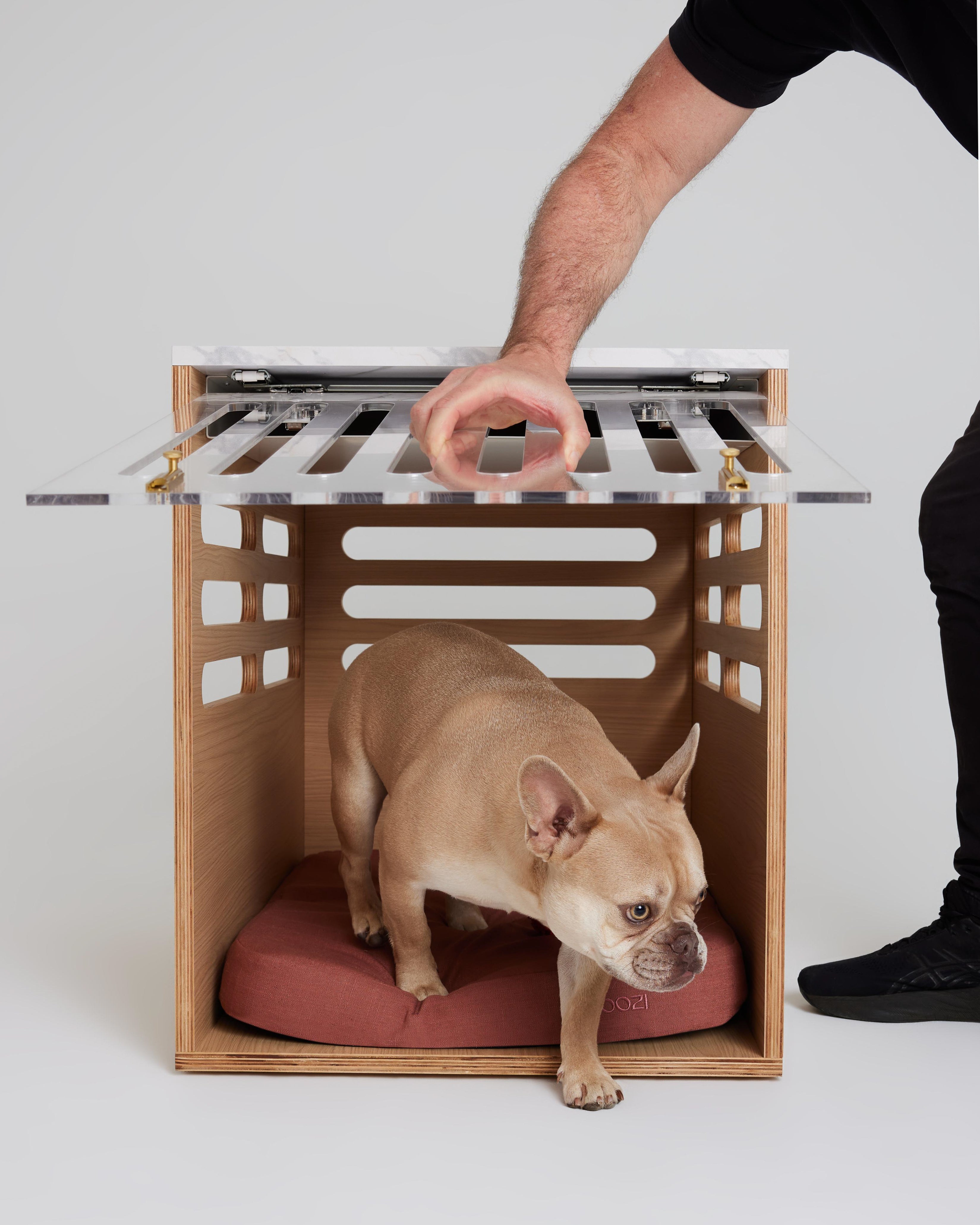 What are the benefits of crate training my dog?