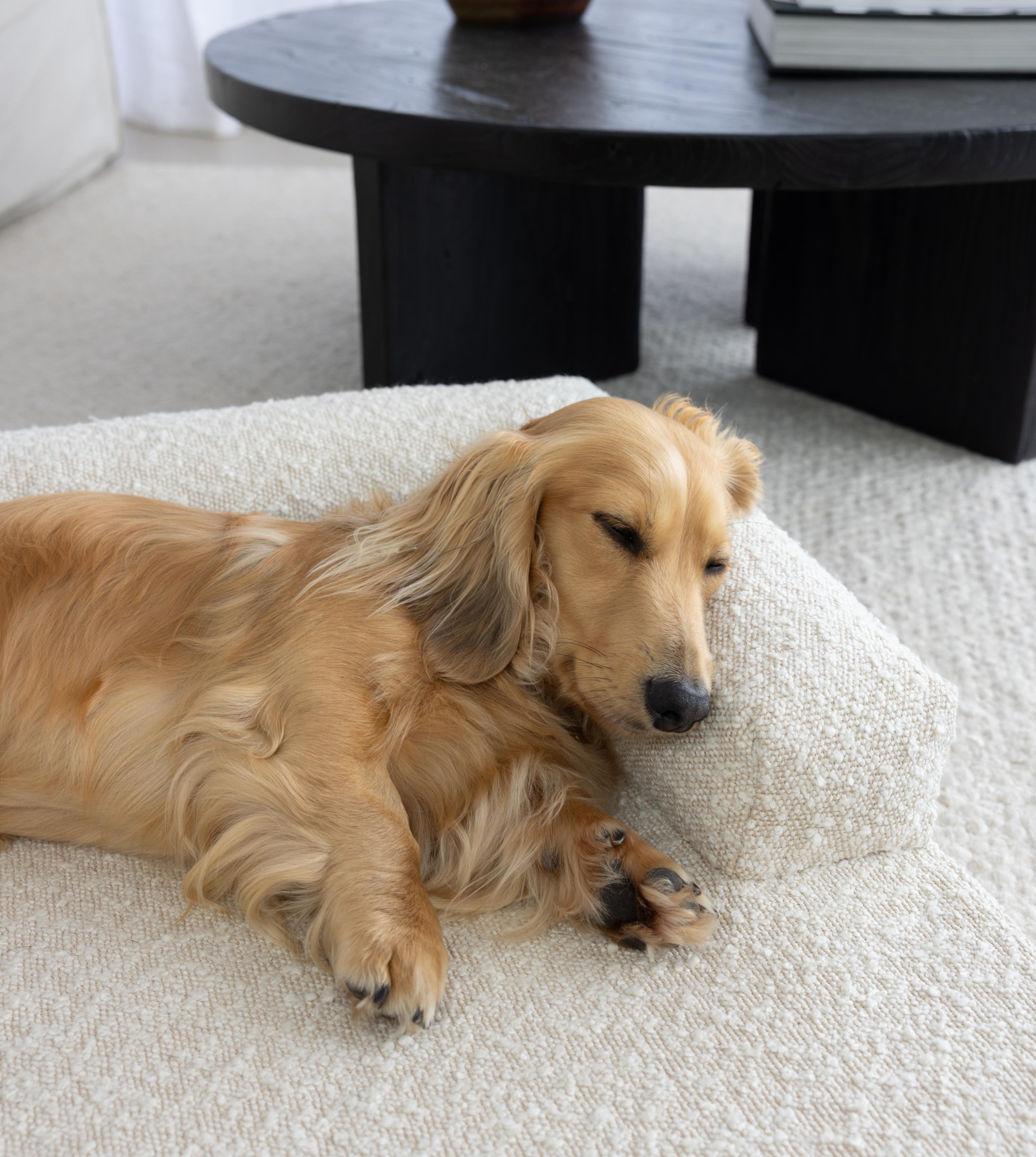 Buttercream Boucle Fabric Cloud Dog Bed by Koozi Pets | Luxury Designer Bolster Dog Bed for Small and Medium Dogs &amp; Aesthetic Interiors | memory foam, anti-chew, also for crates