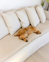 Sofa Topper - Sand Linen