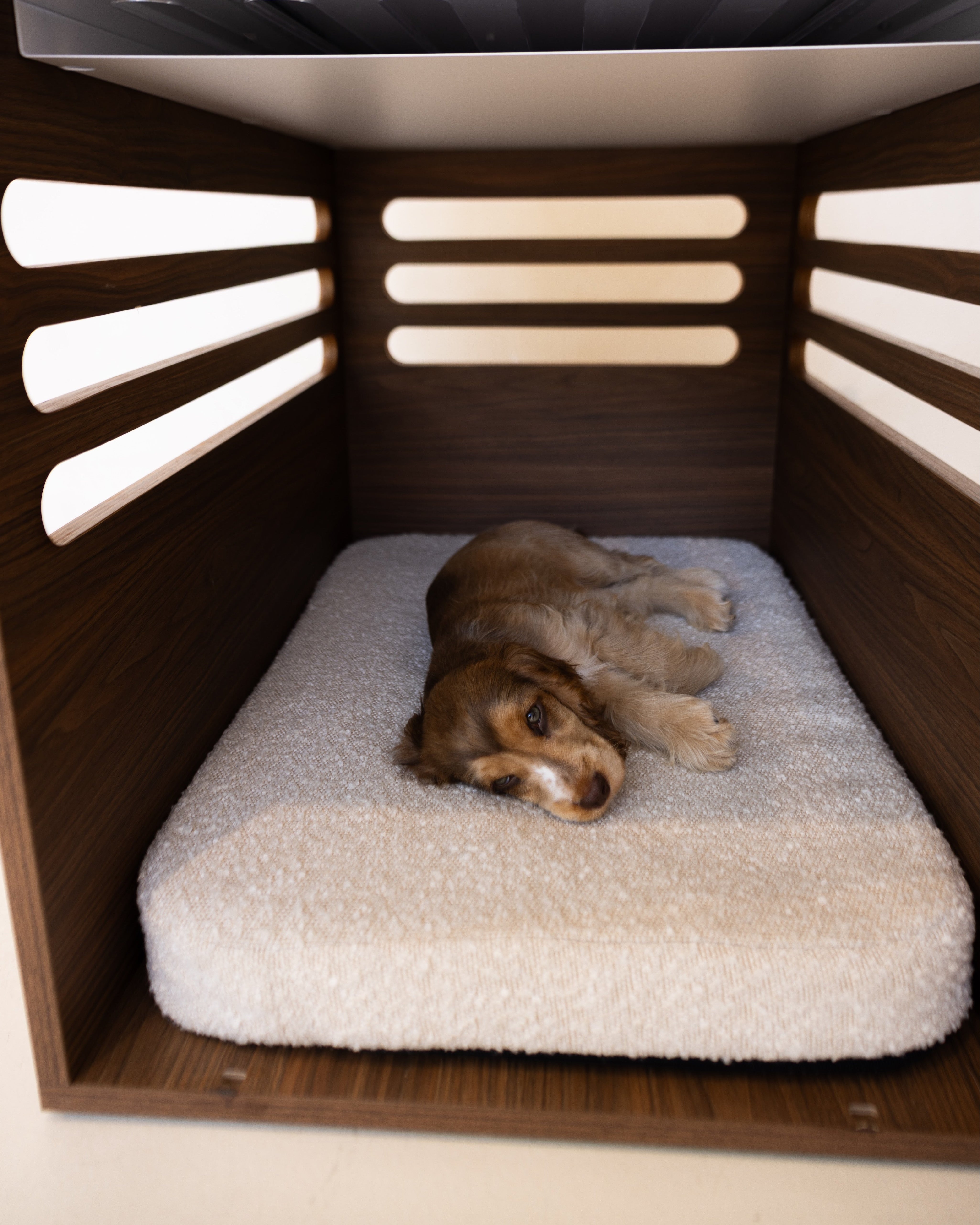 Dog lying on a fluffy cushion inside a wooden pet crate.