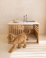 Dog standing next to a modern wooden dog crate furniture bed with a white surface in a minimalistic room.