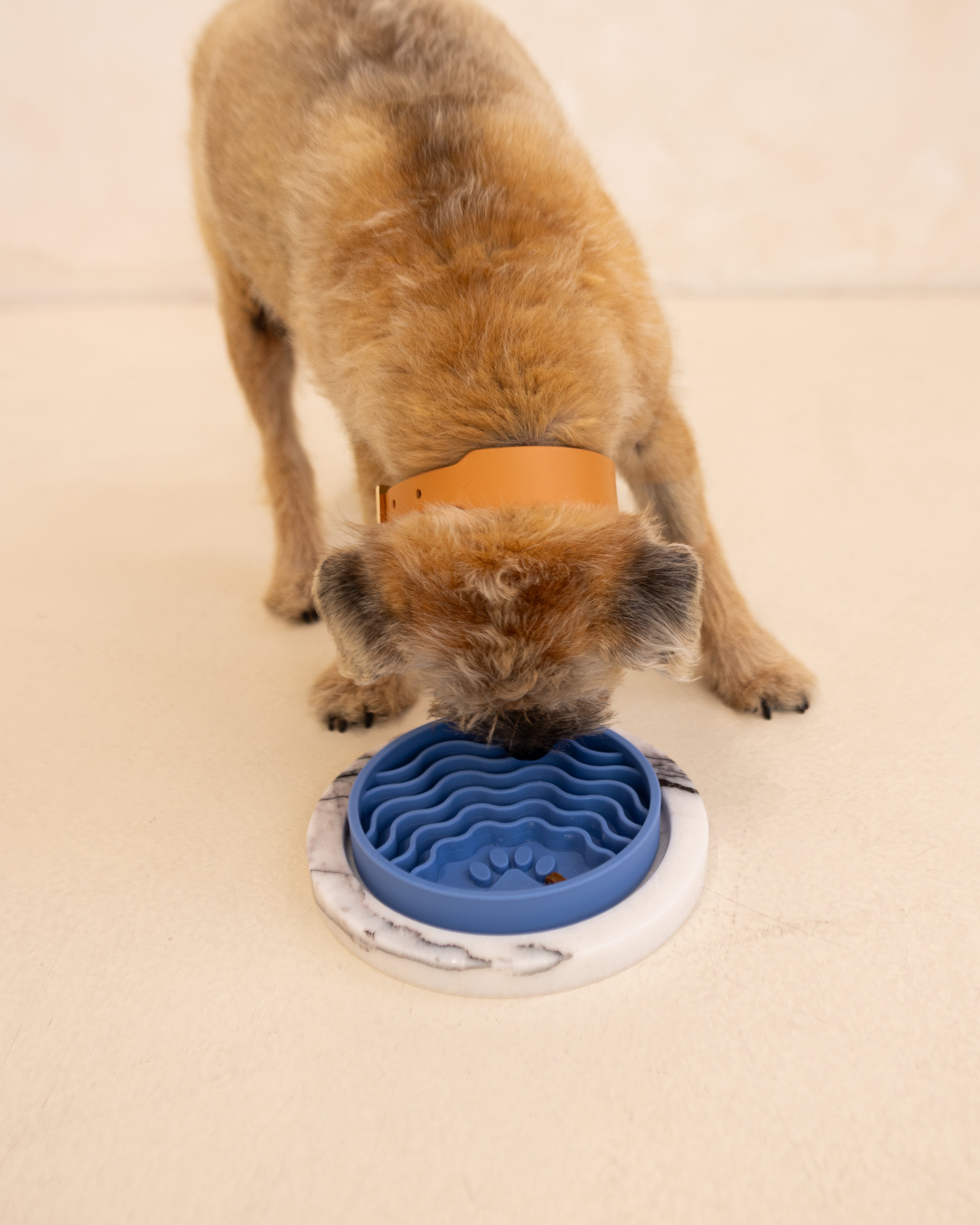 Lick Mat / Slow Feeder Bowl - Powder Blue