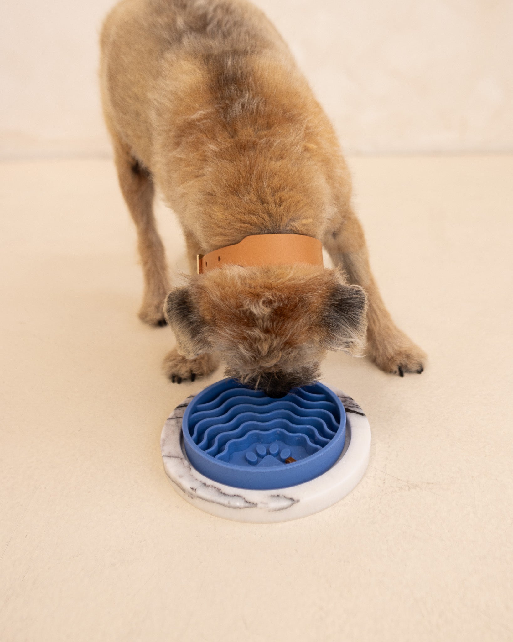 Longer-Lasting Snack Time