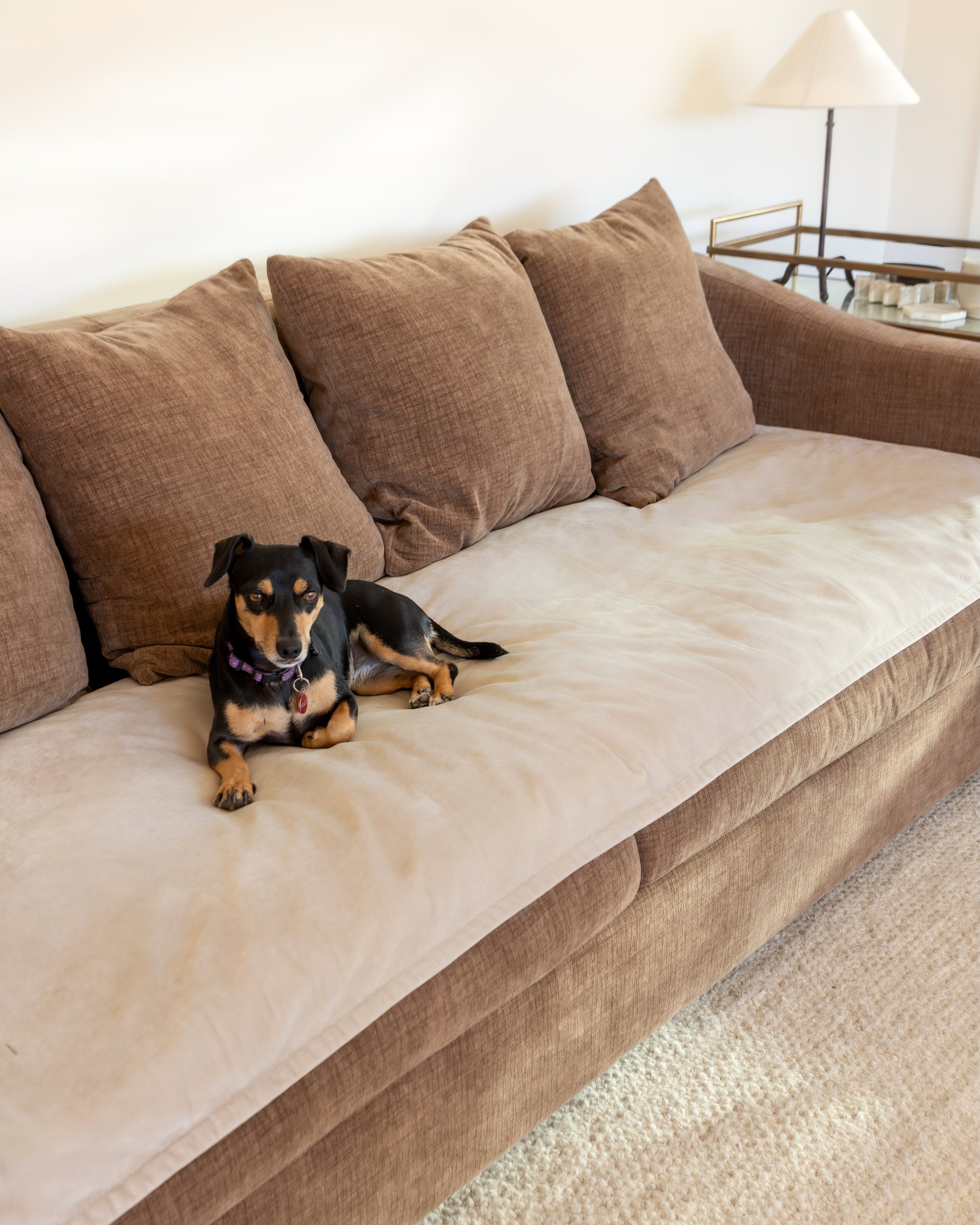 Velvet Sofa Topper - Dune