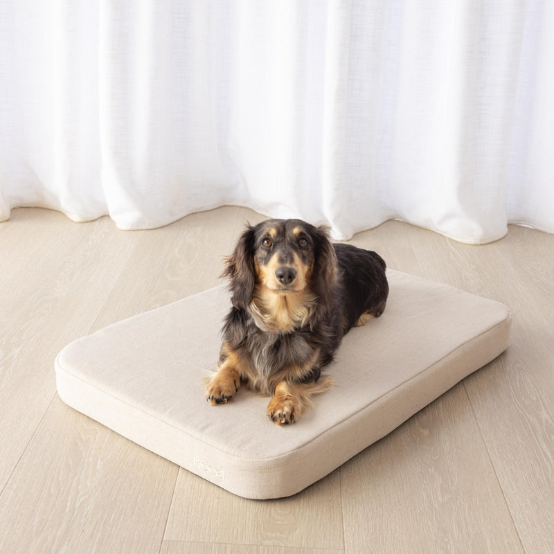 Cloud-Dog-Bed-Oatmeal-Linen