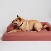Cloud Dog Bed - Red Clay Linen