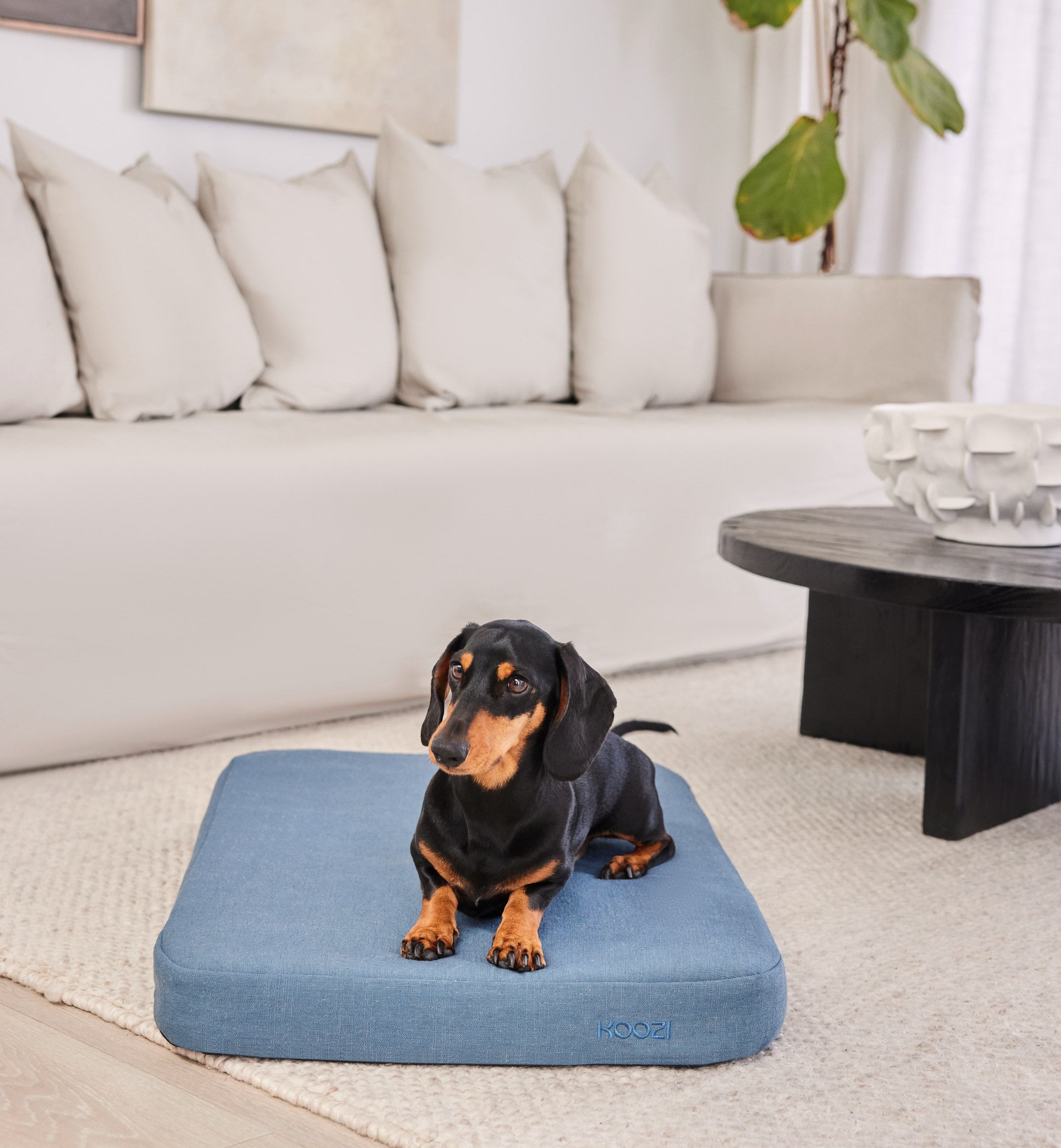 Denim Blue Linen Plush Flat Dog Bed by Koozi Pets | Luxury Designer Bed for Small Dogs &amp; Aesthetic Interiors | memory foam, anti-chew, also for crates. 