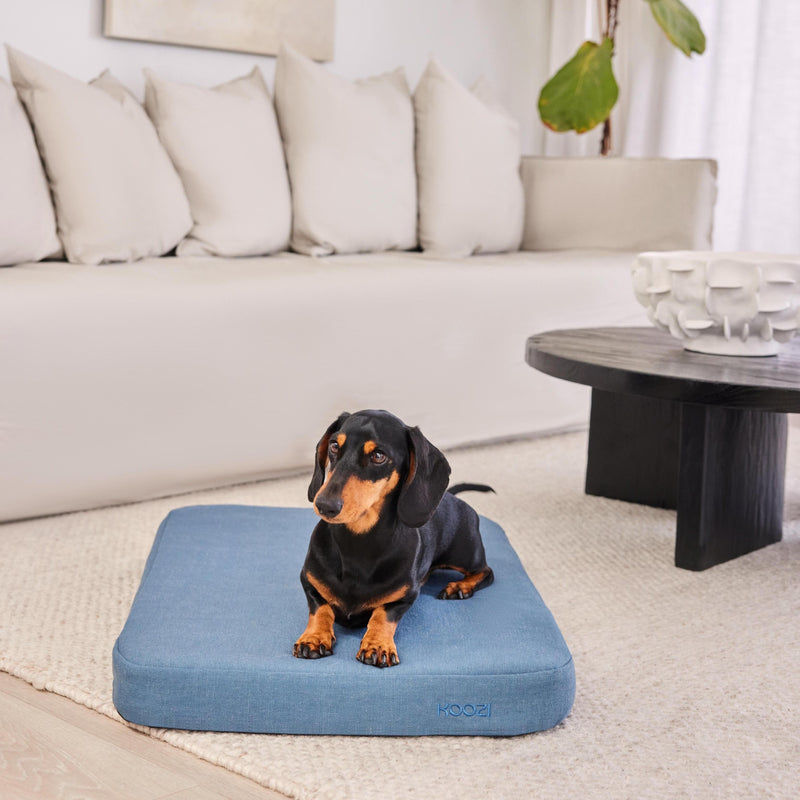 Denim Blue Linen Flat Dog Bed Koozi