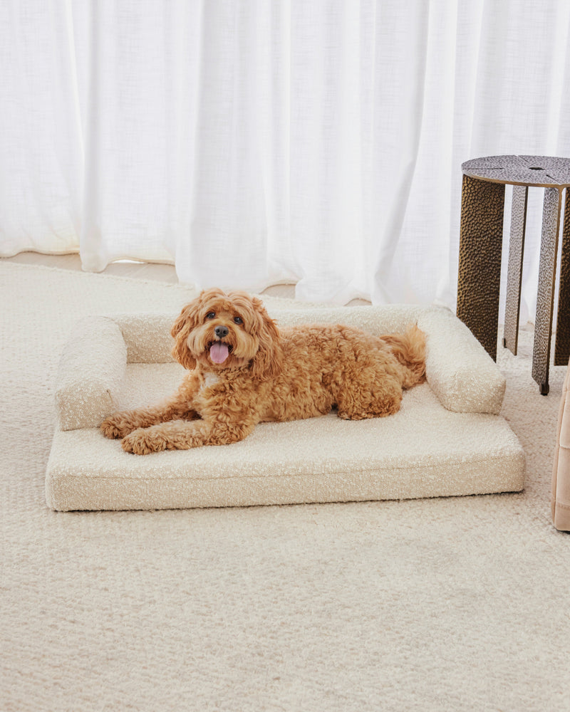 Cloud Dog Bed - Buttercream Boucle