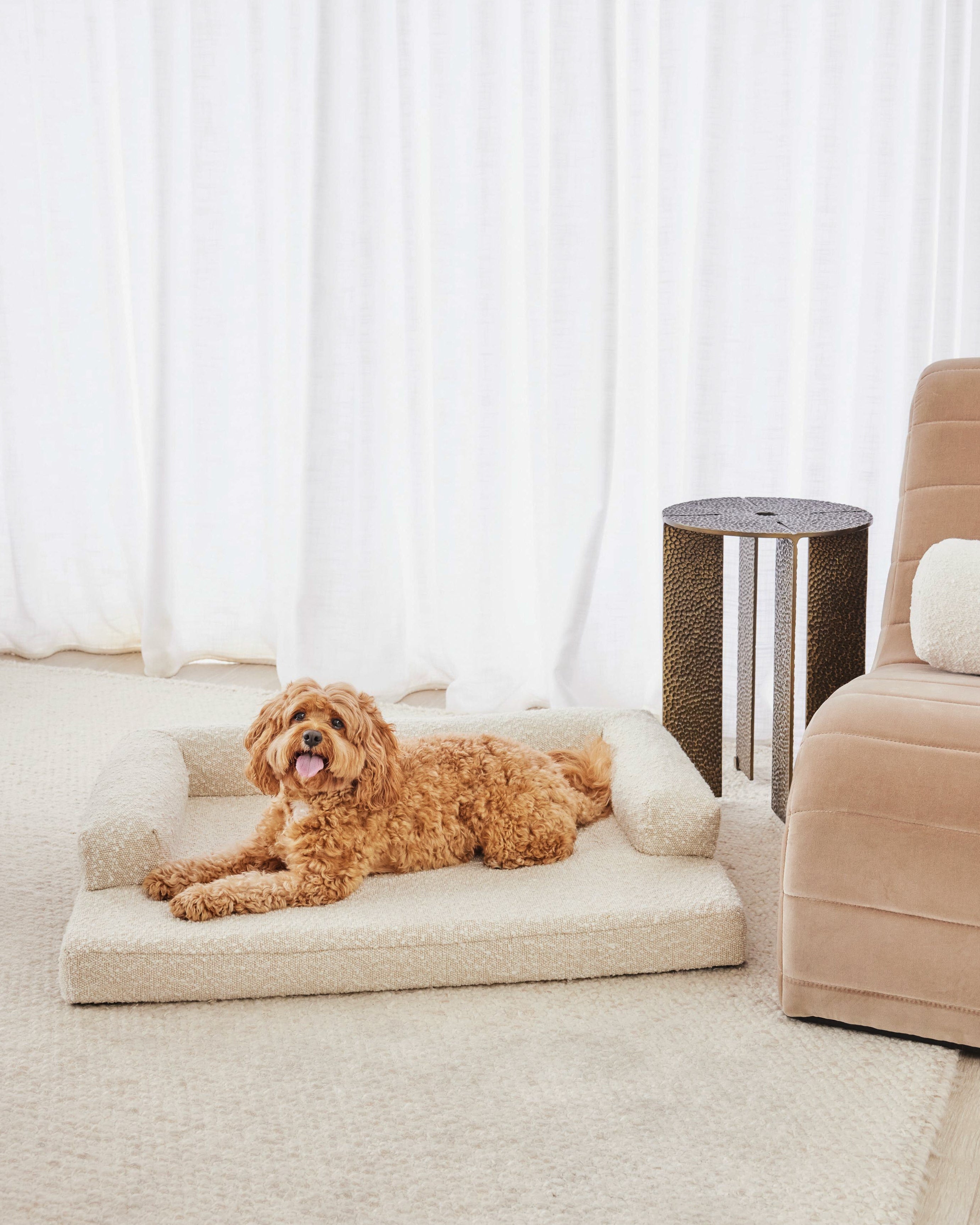KOOZI-CAMPAIGN-246-2_ad8b1094-ba99-4e37-a52f-28941f14ddee.jpg