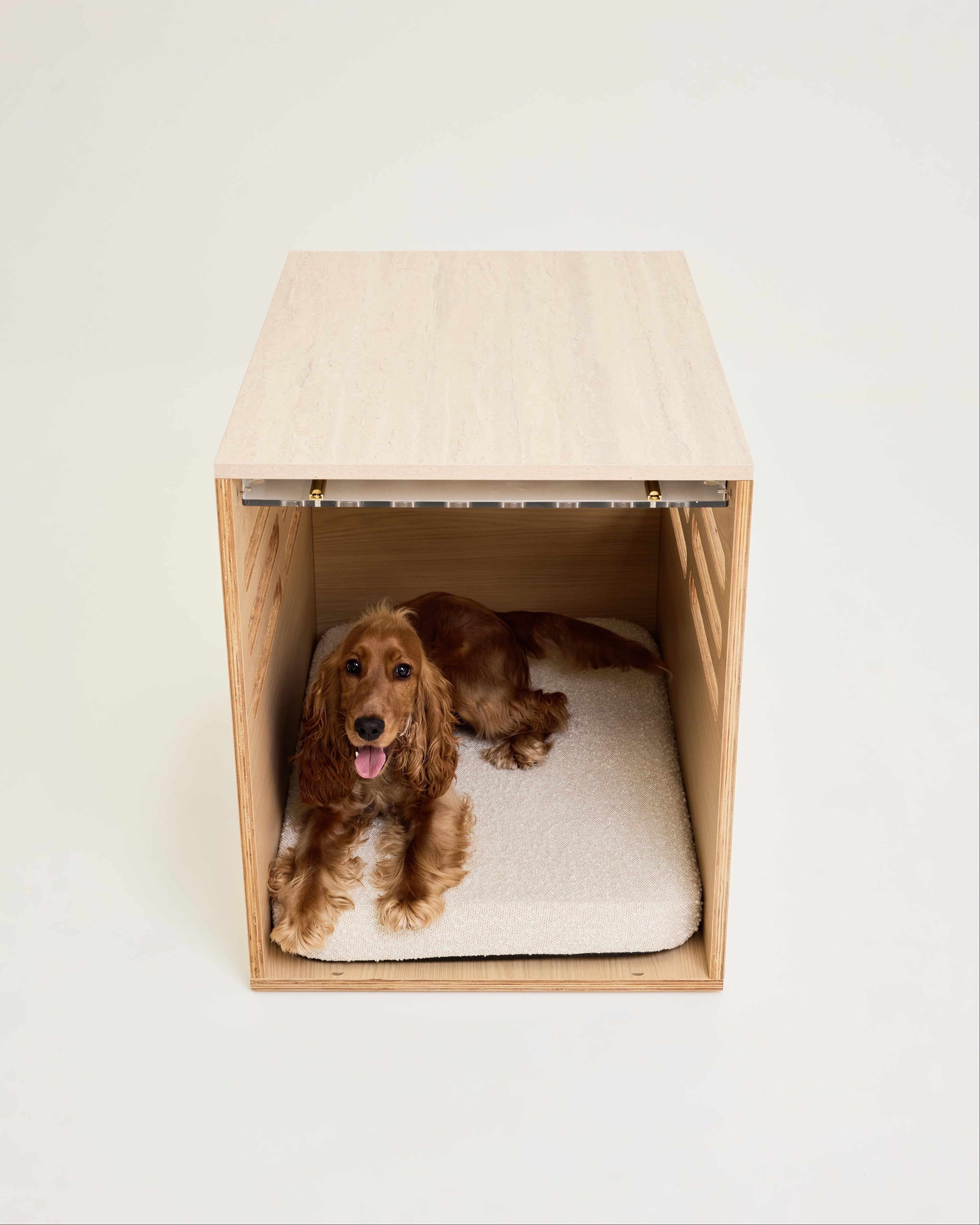 Dog lying in a modern wooden pet bed with a light-colored cushion on a white background