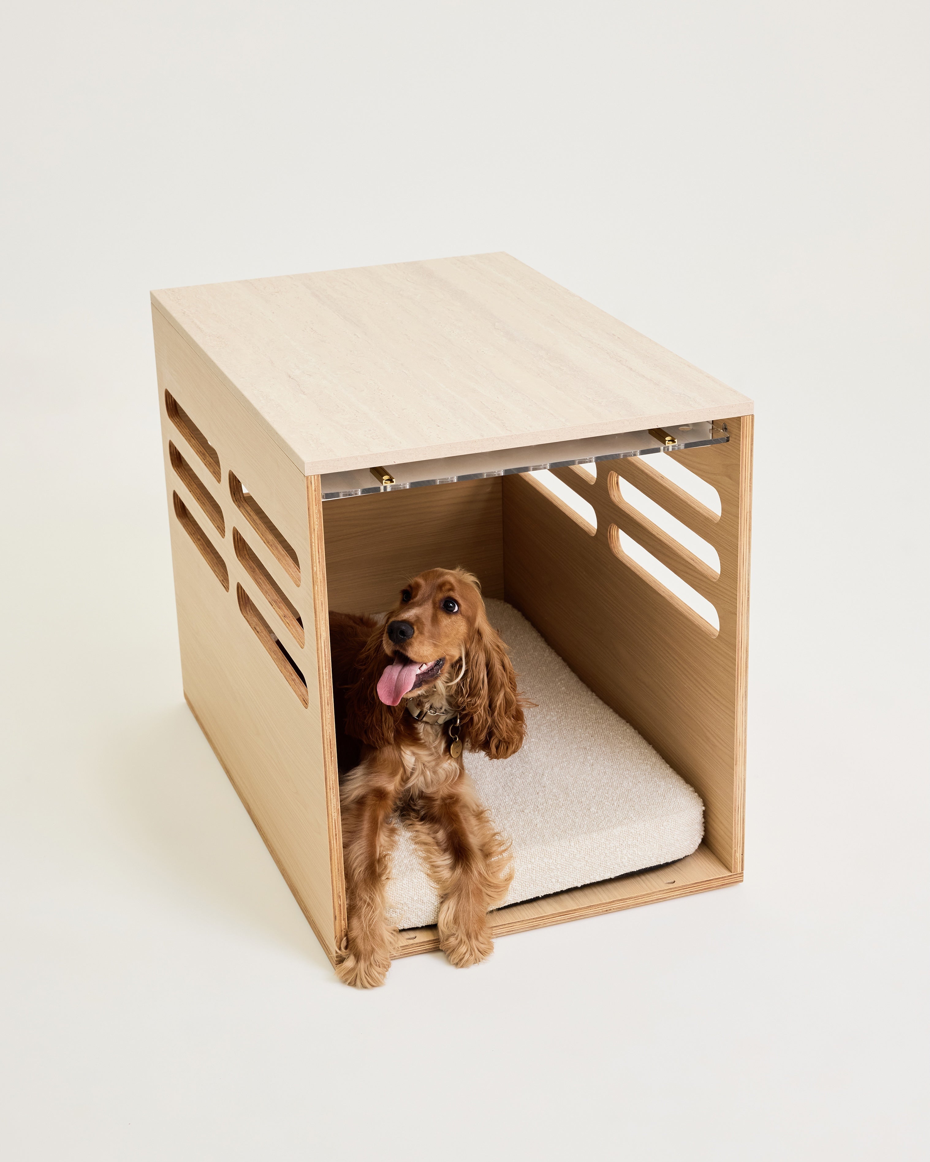 Dog inside a modern wooden pet bed on a light background