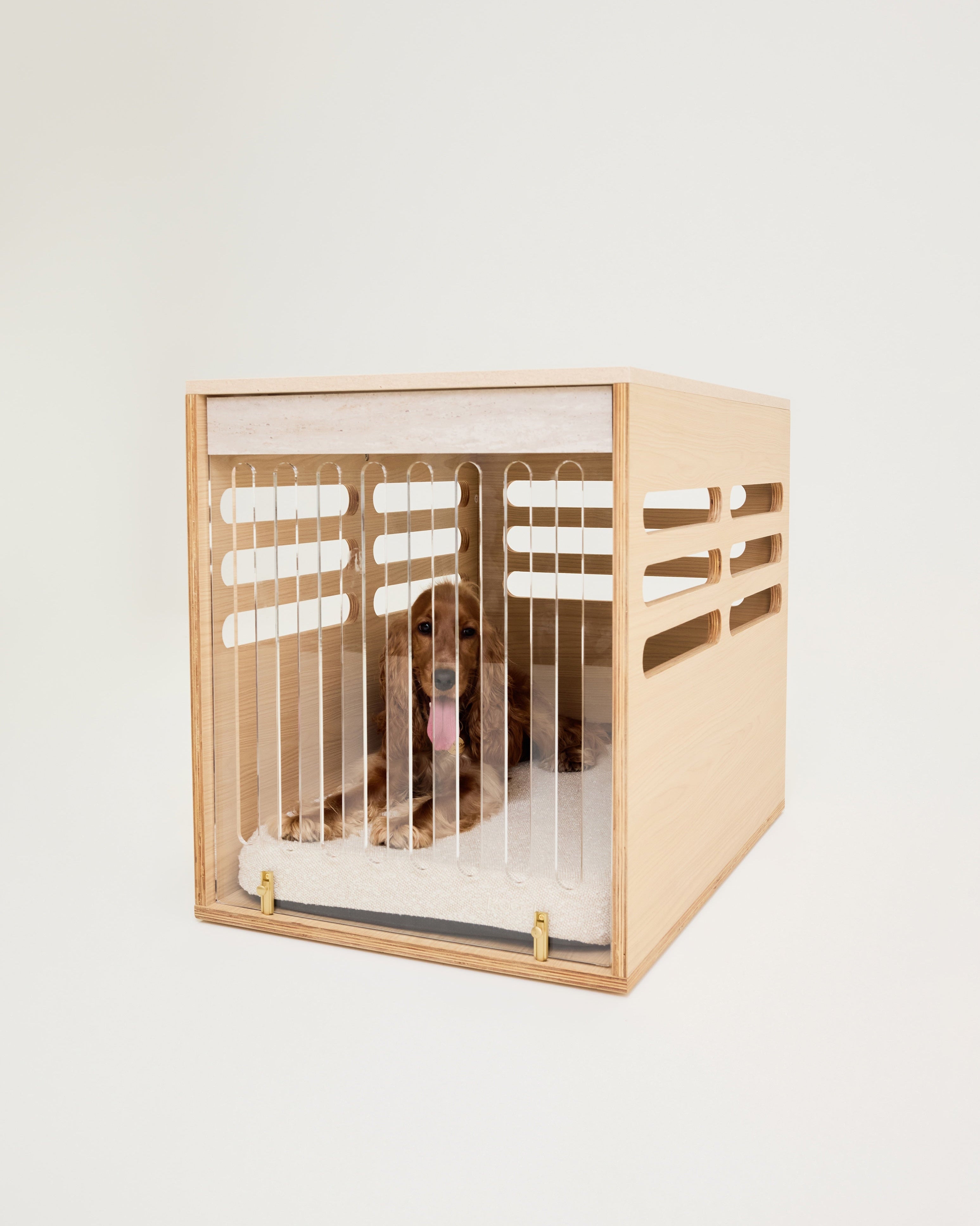 Wooden pet crate with a dog inside on a white background