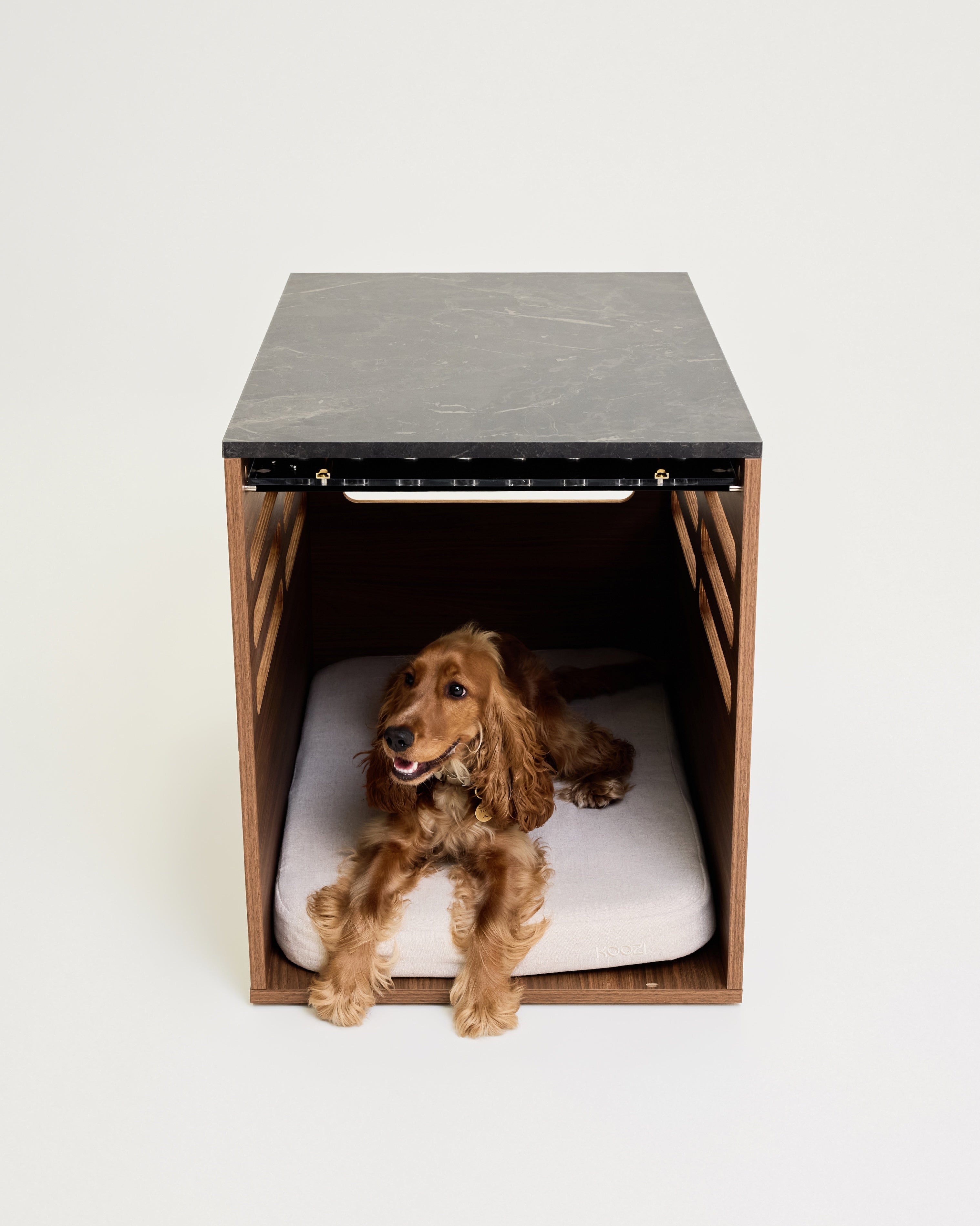 Dog inside a modern wooden pet bed with concrete top on a white background