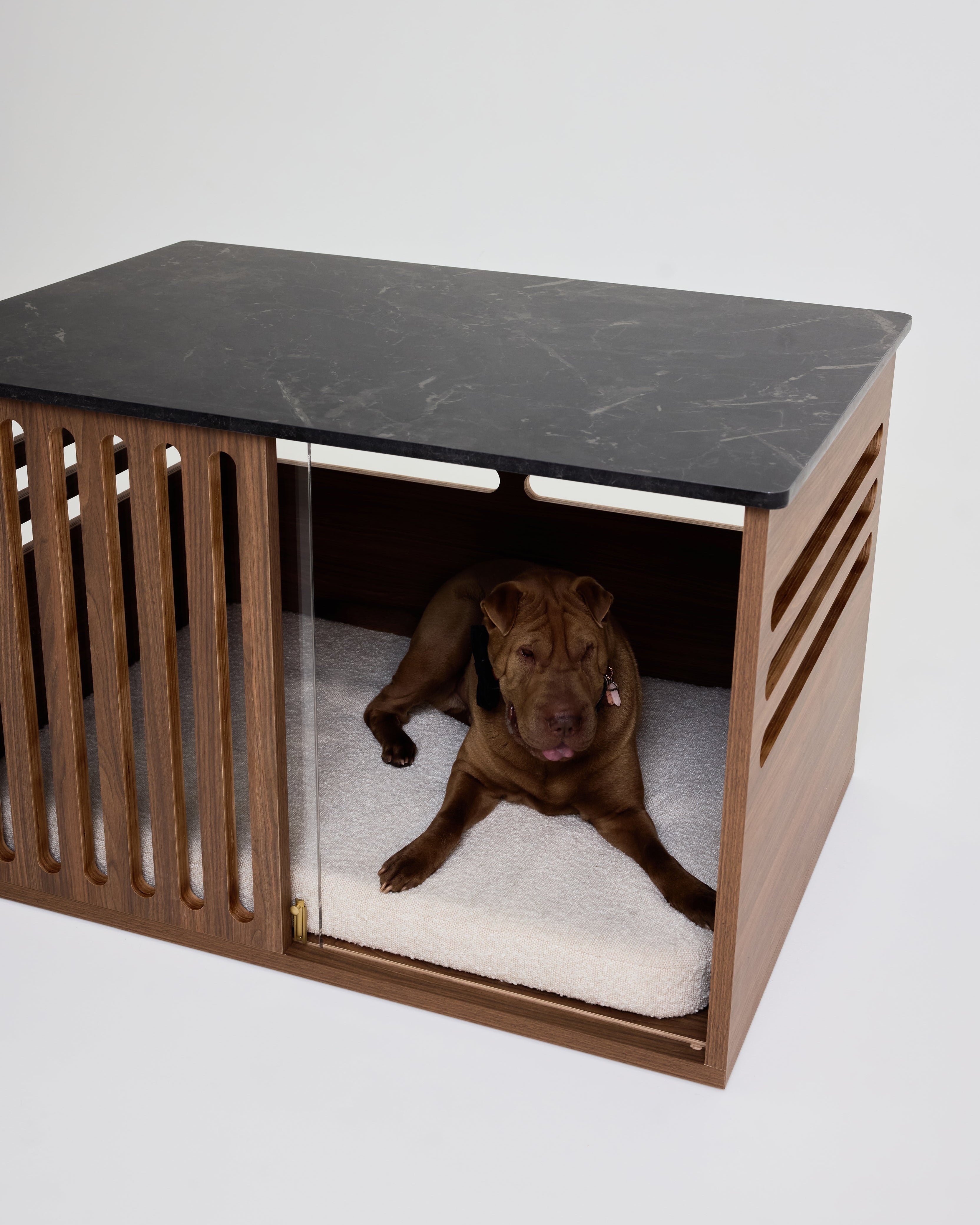 Dog lying inside a modern wooden crate with a black marble top on a white background