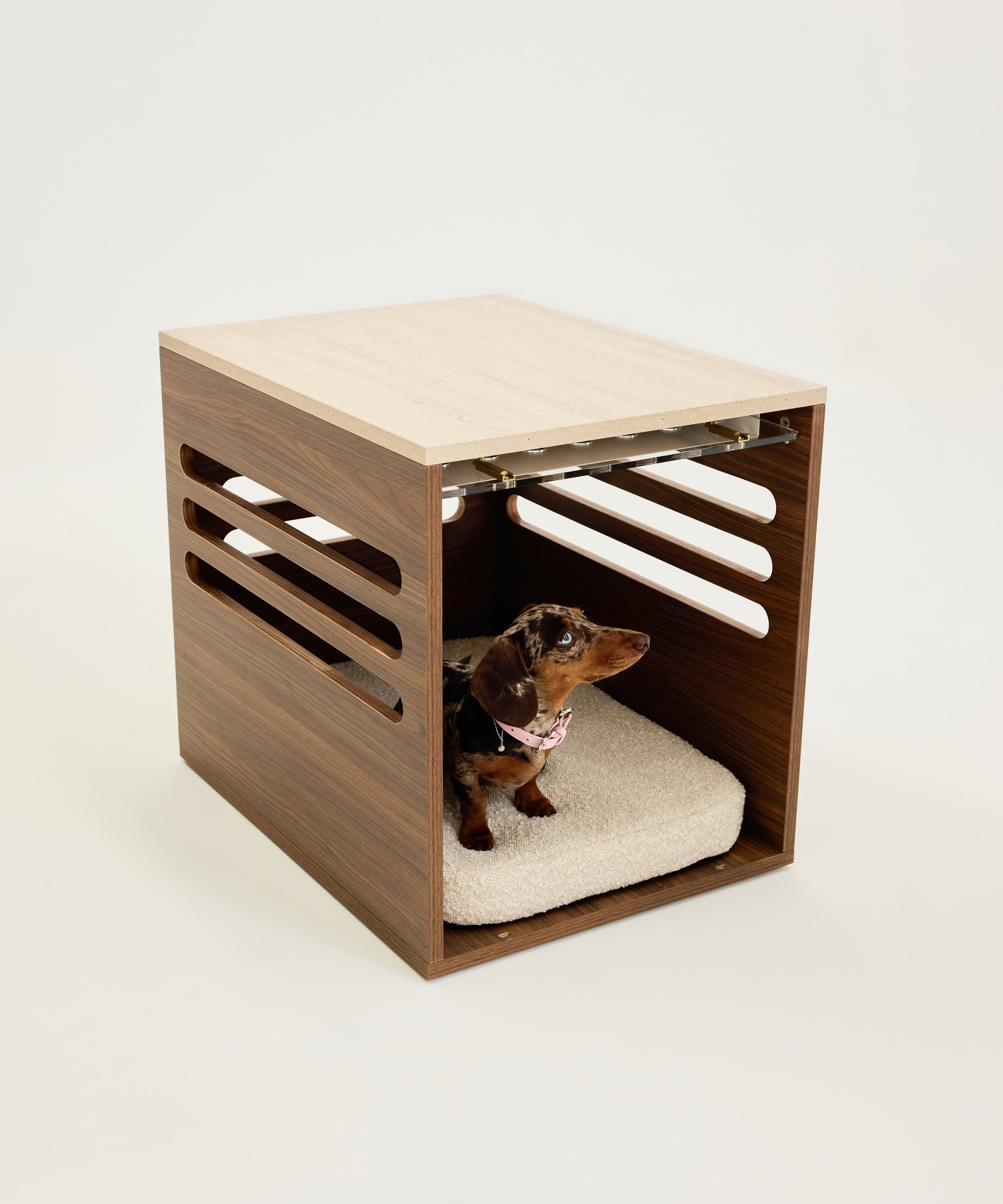 Wooden pet crate with a small dog inside on a white background