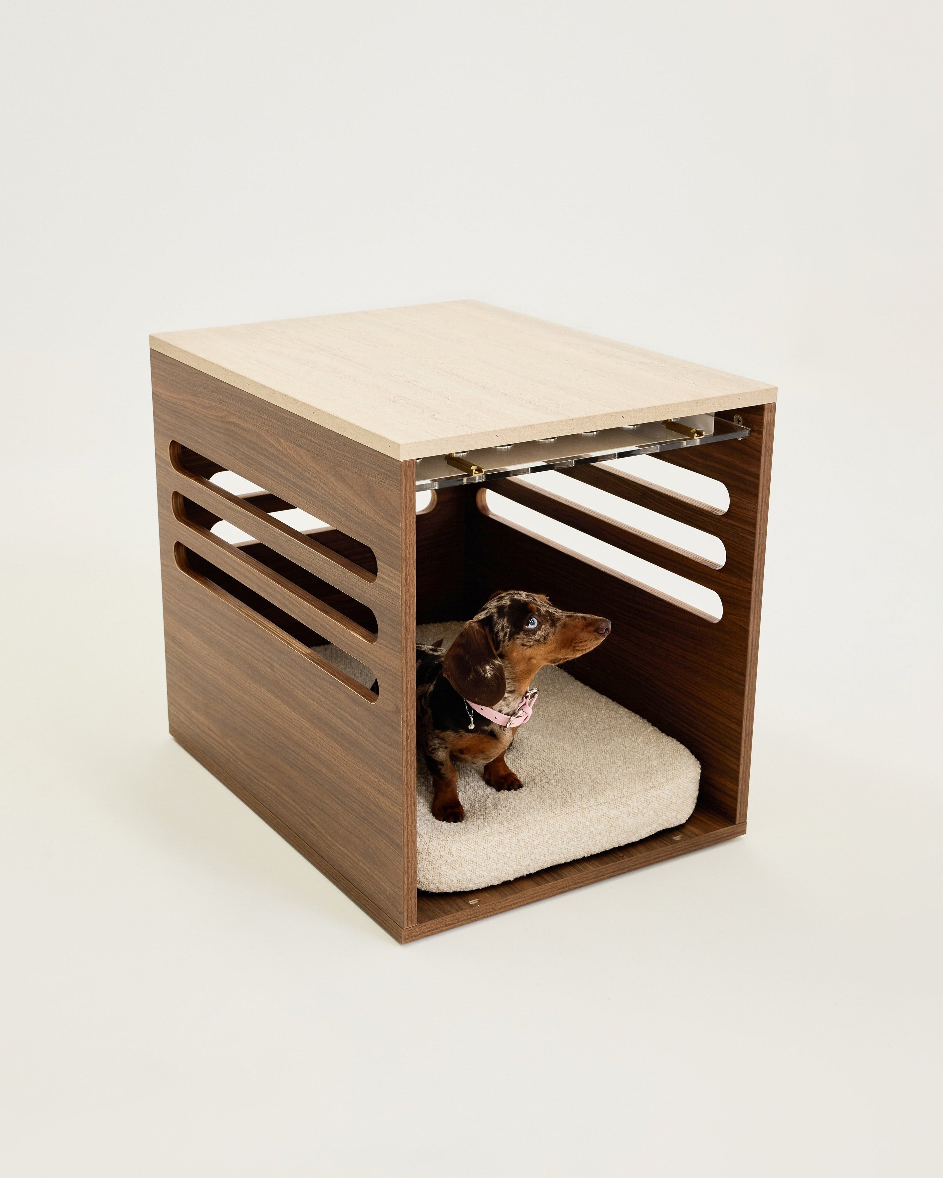 Wooden pet crate with a small dog inside on a white background
