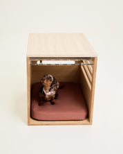 Small dog inside a wooden pet bed with a white background