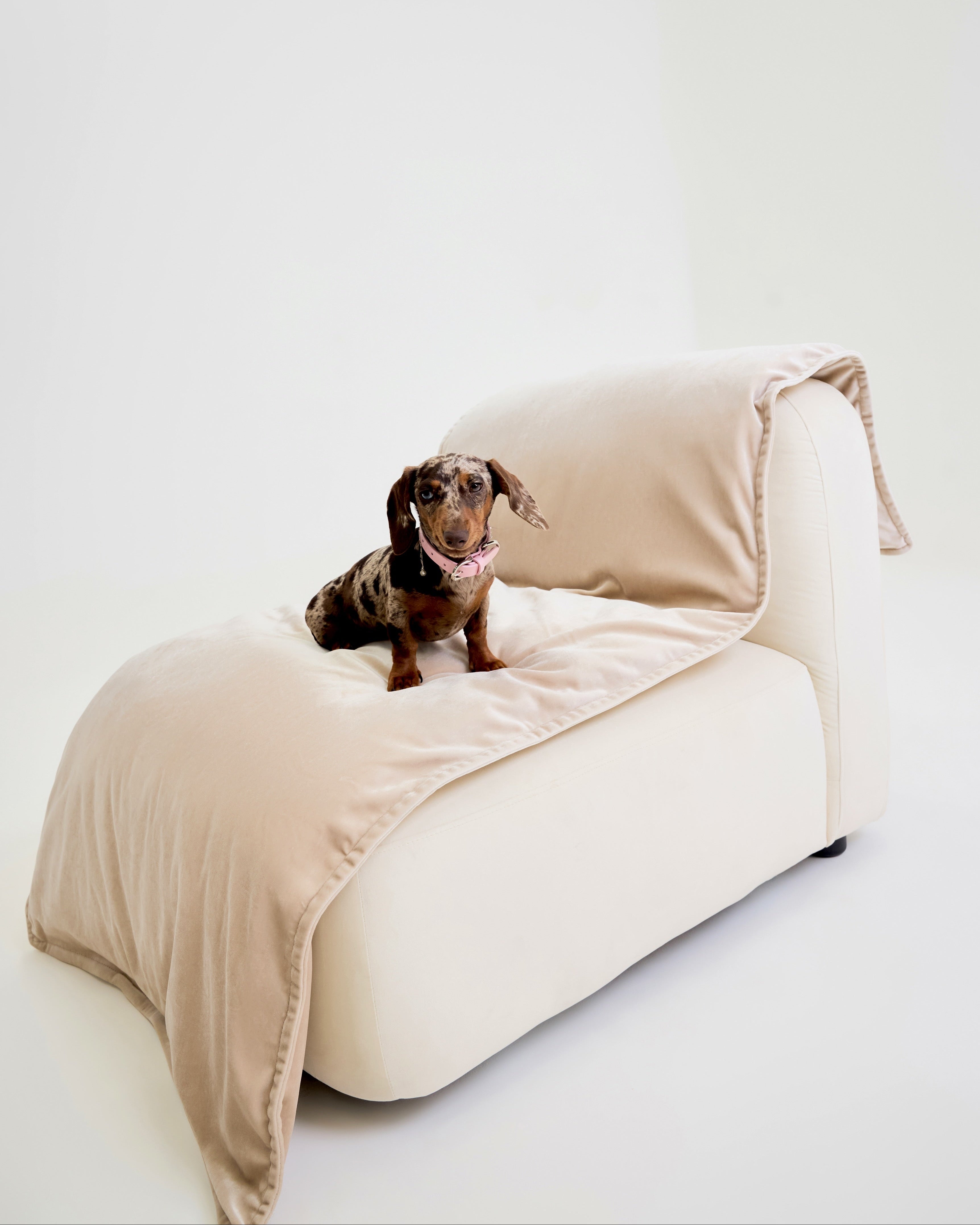 Velvet Sofa Topper - Dune