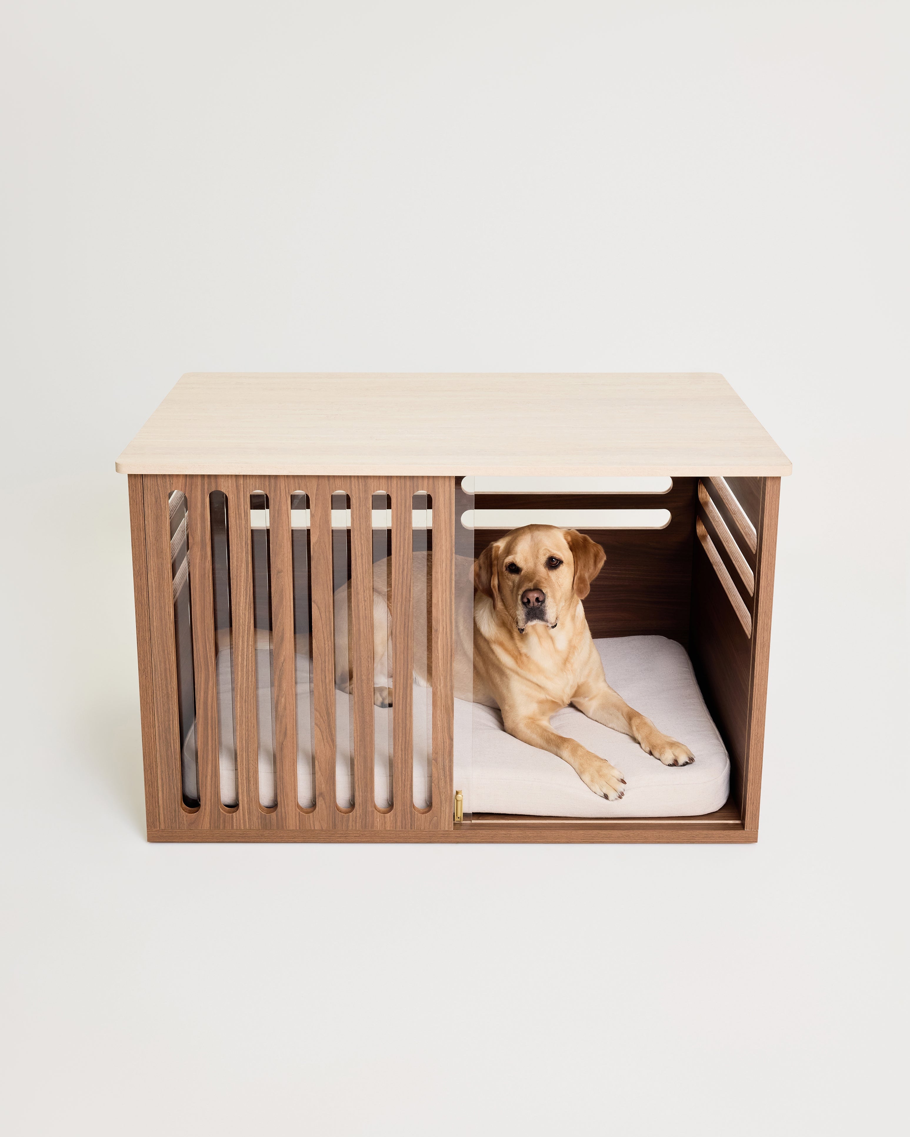 Dog lying inside a modern wooden pet crate with a white interior on a light background