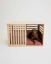 Dog inside a wooden crate with a pink cushion on a white background