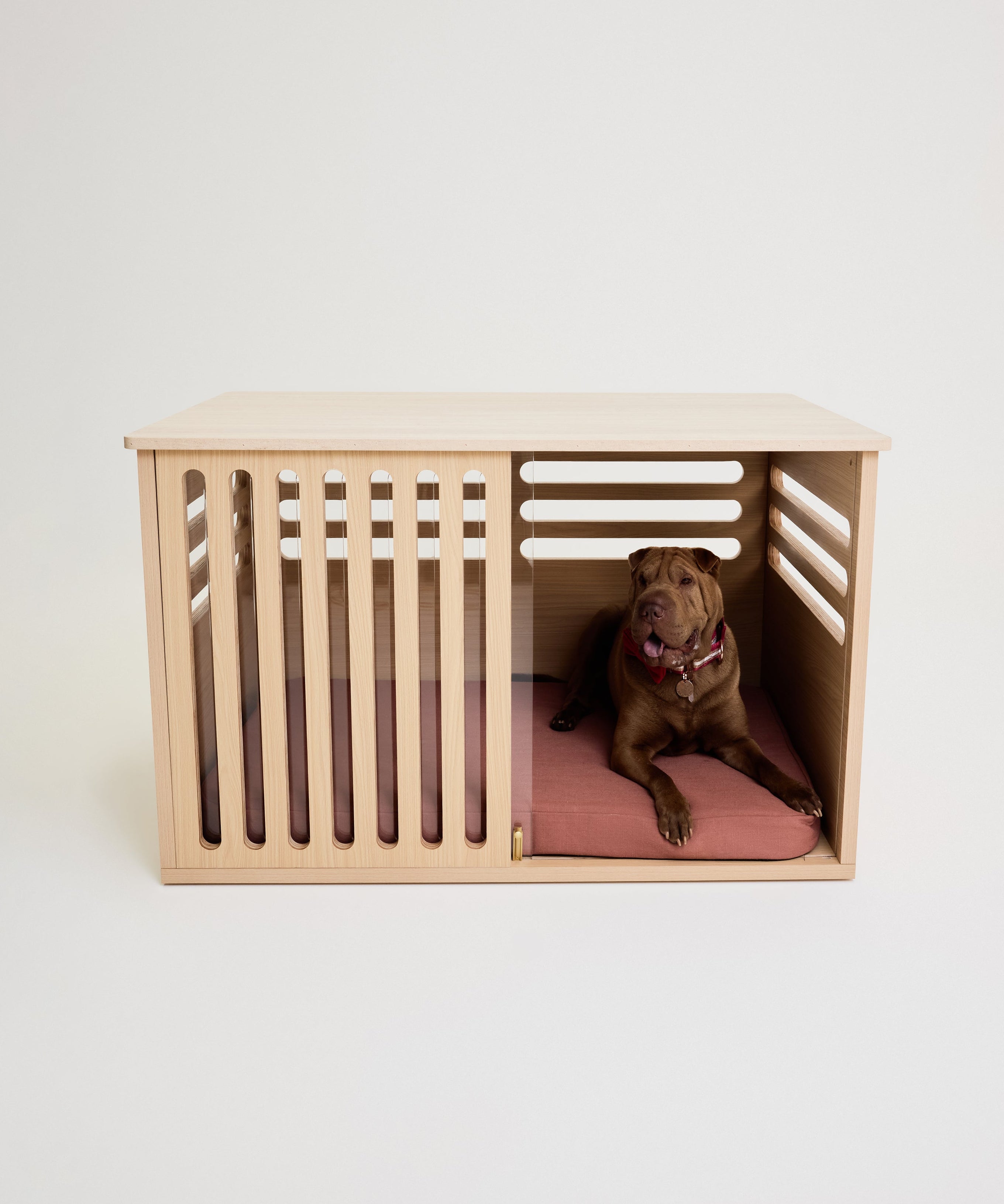 Dog inside a wooden crate with a pink cushion on a white background