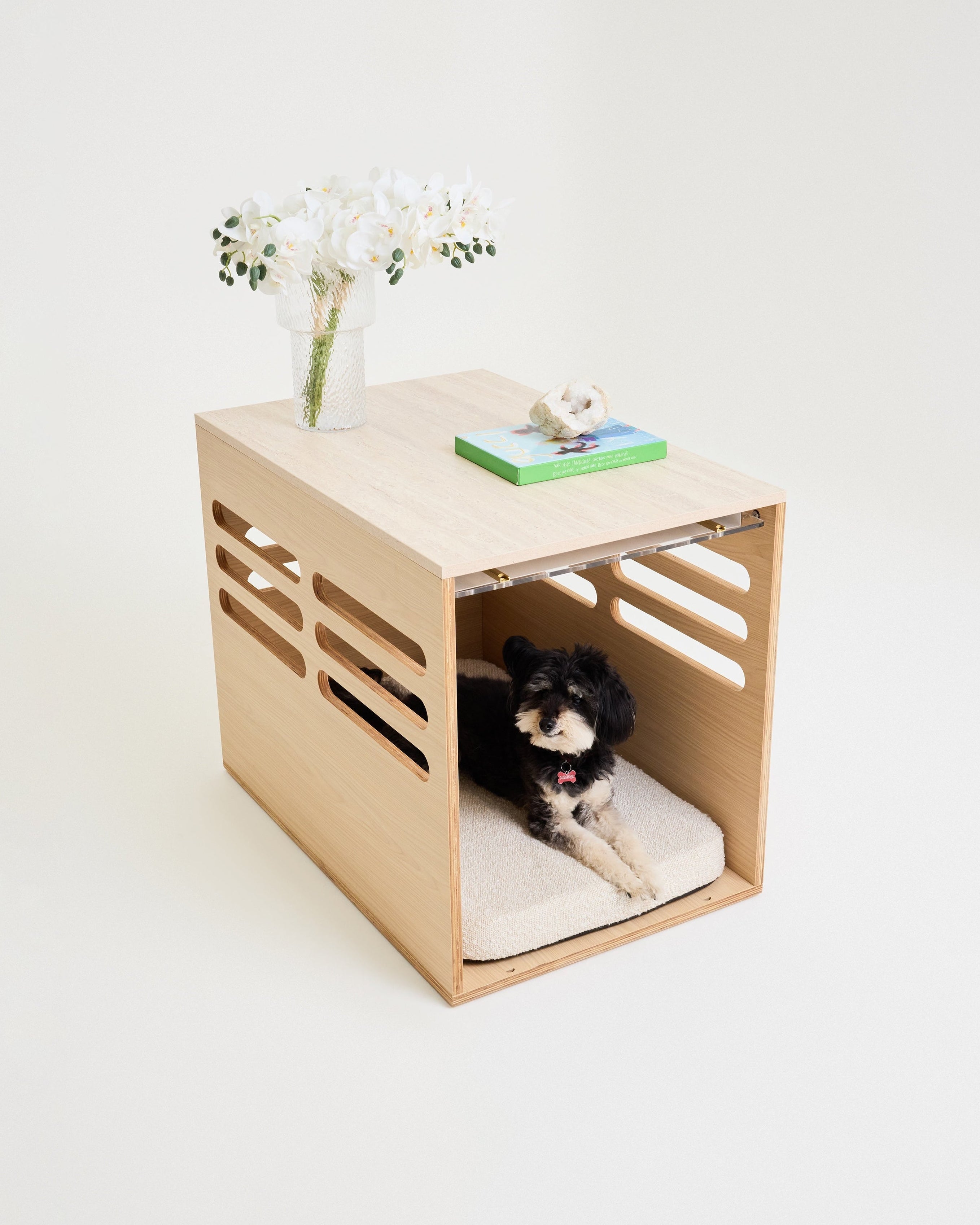 Dog lying in a wooden crate that doubles as a small table with a white background